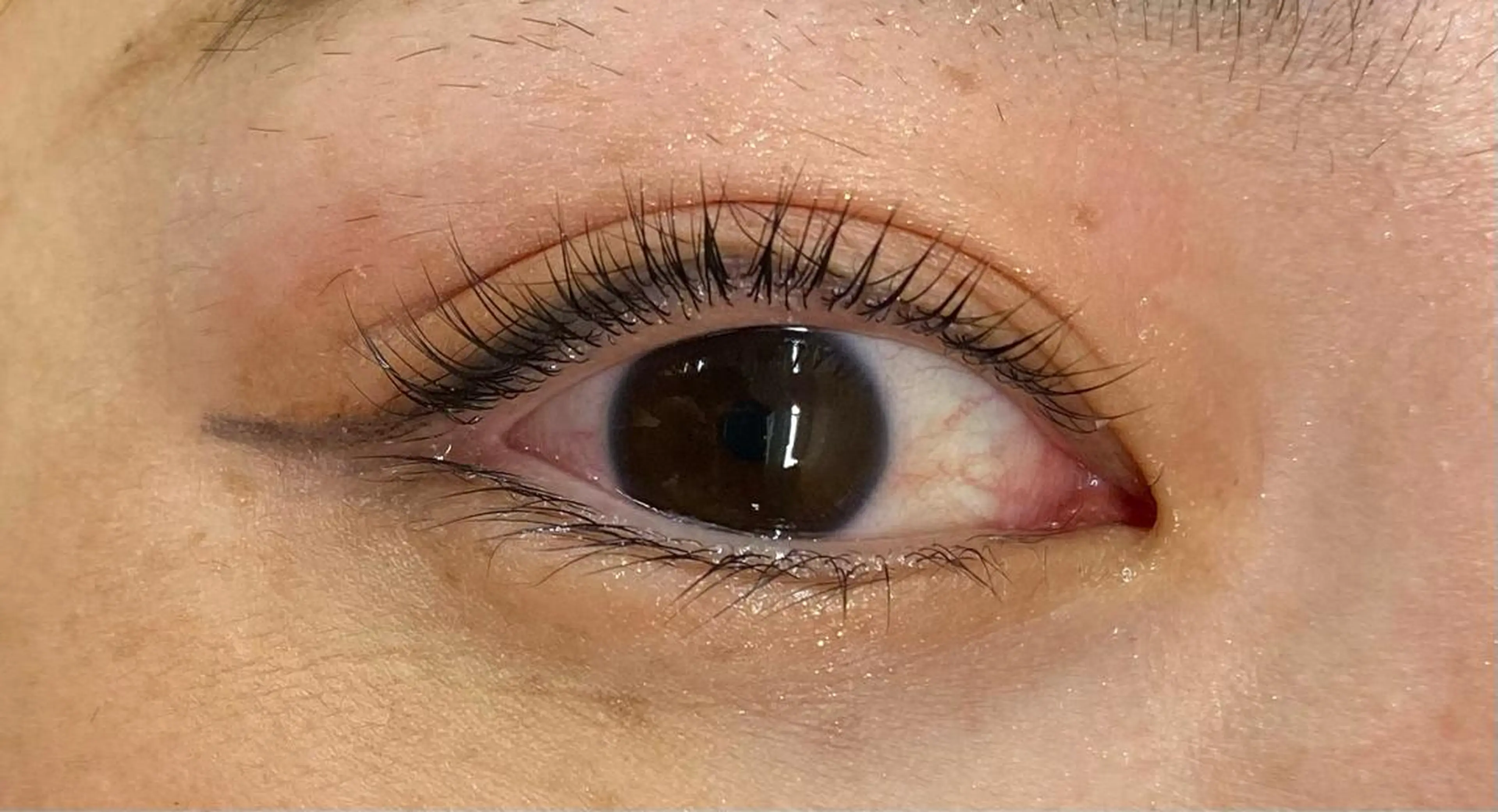 マツエク・マツパ Baby step.nのマツエク・マツパデザイン