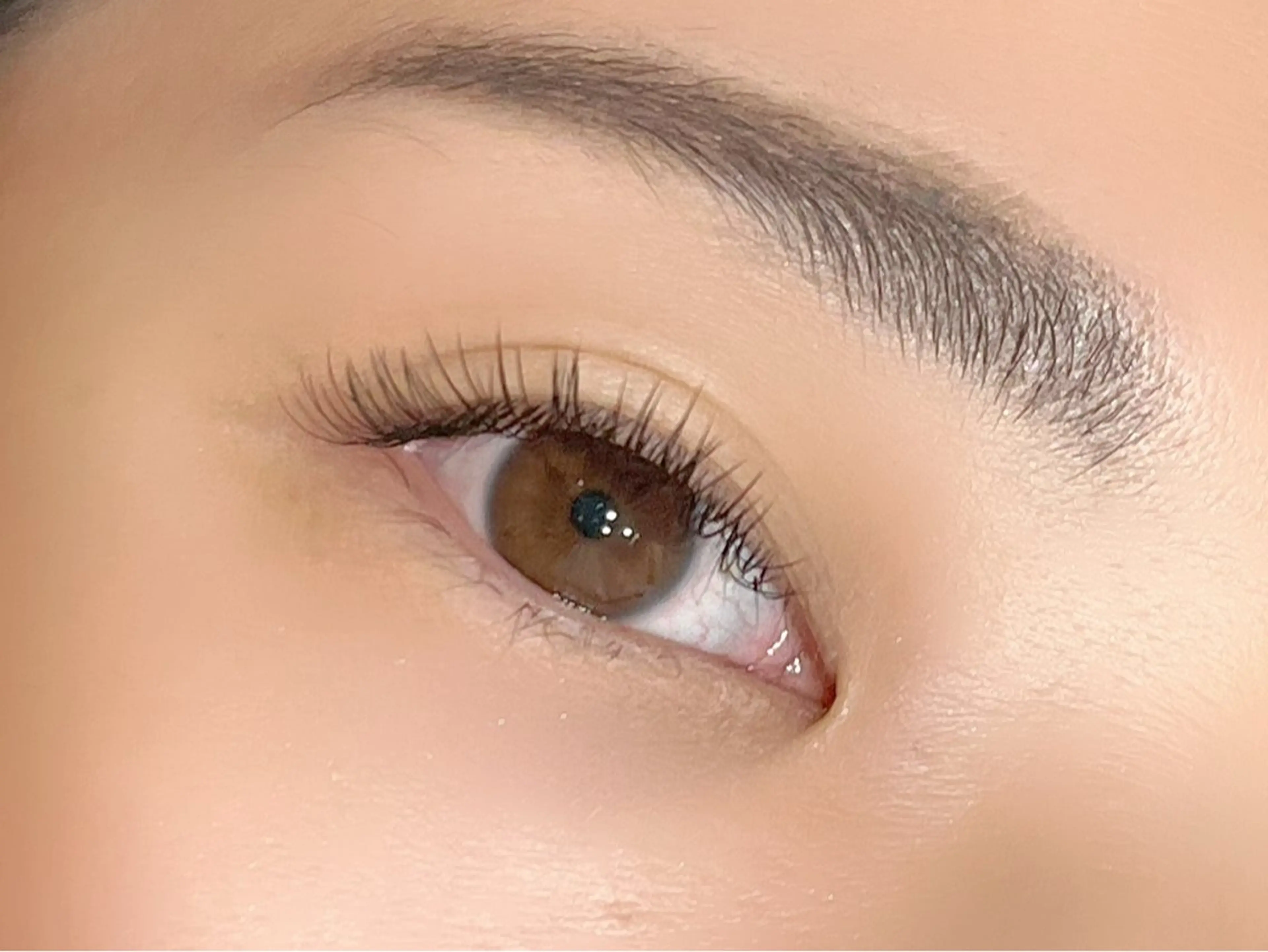 【新規】プレミアムセーブル120本3960円の写真