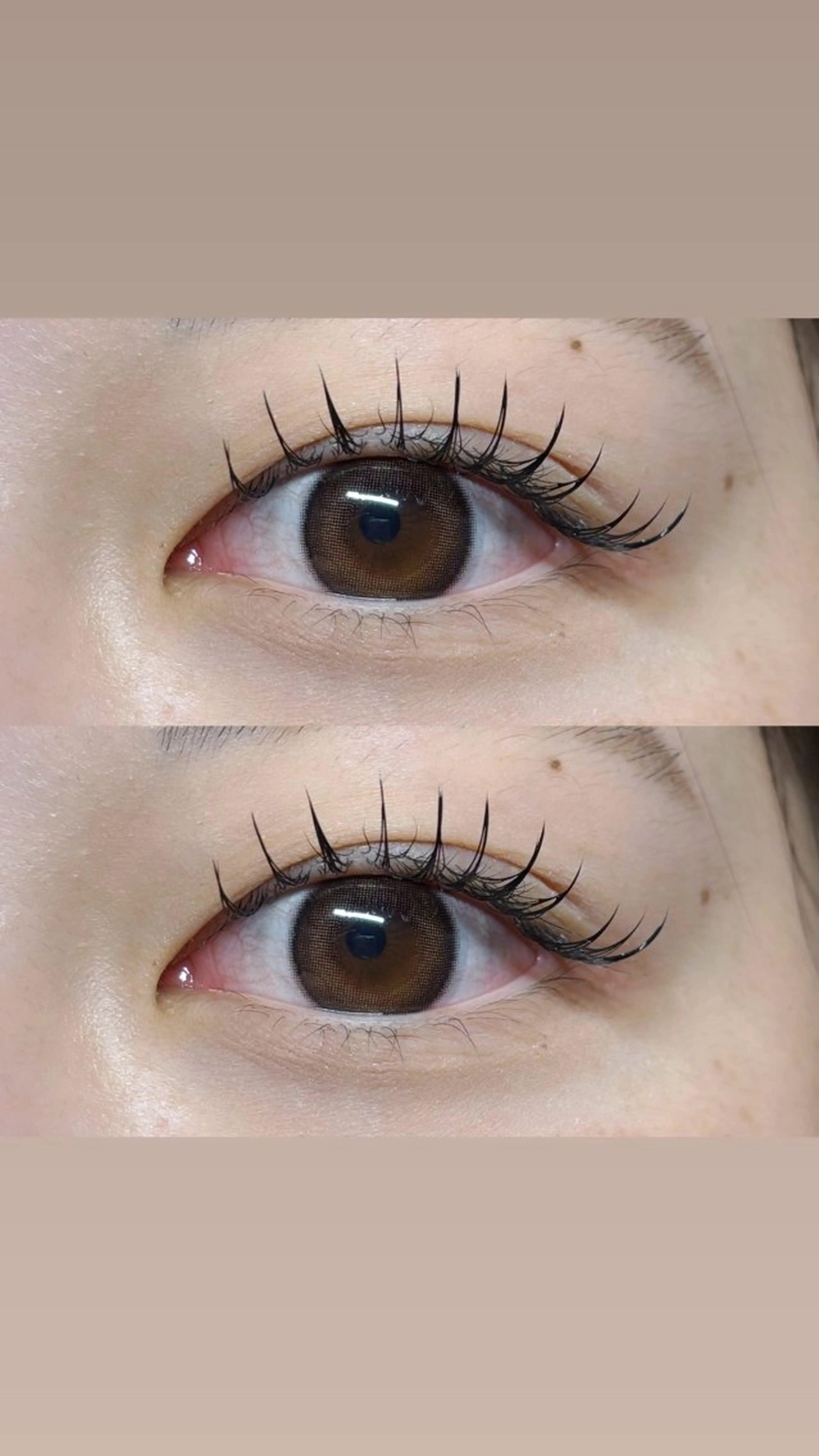 マツエク・マツパ 束感まつ毛 フラットラッシュ LUCY 心斎橋/ 岡本のマツエク・マツパデザイン