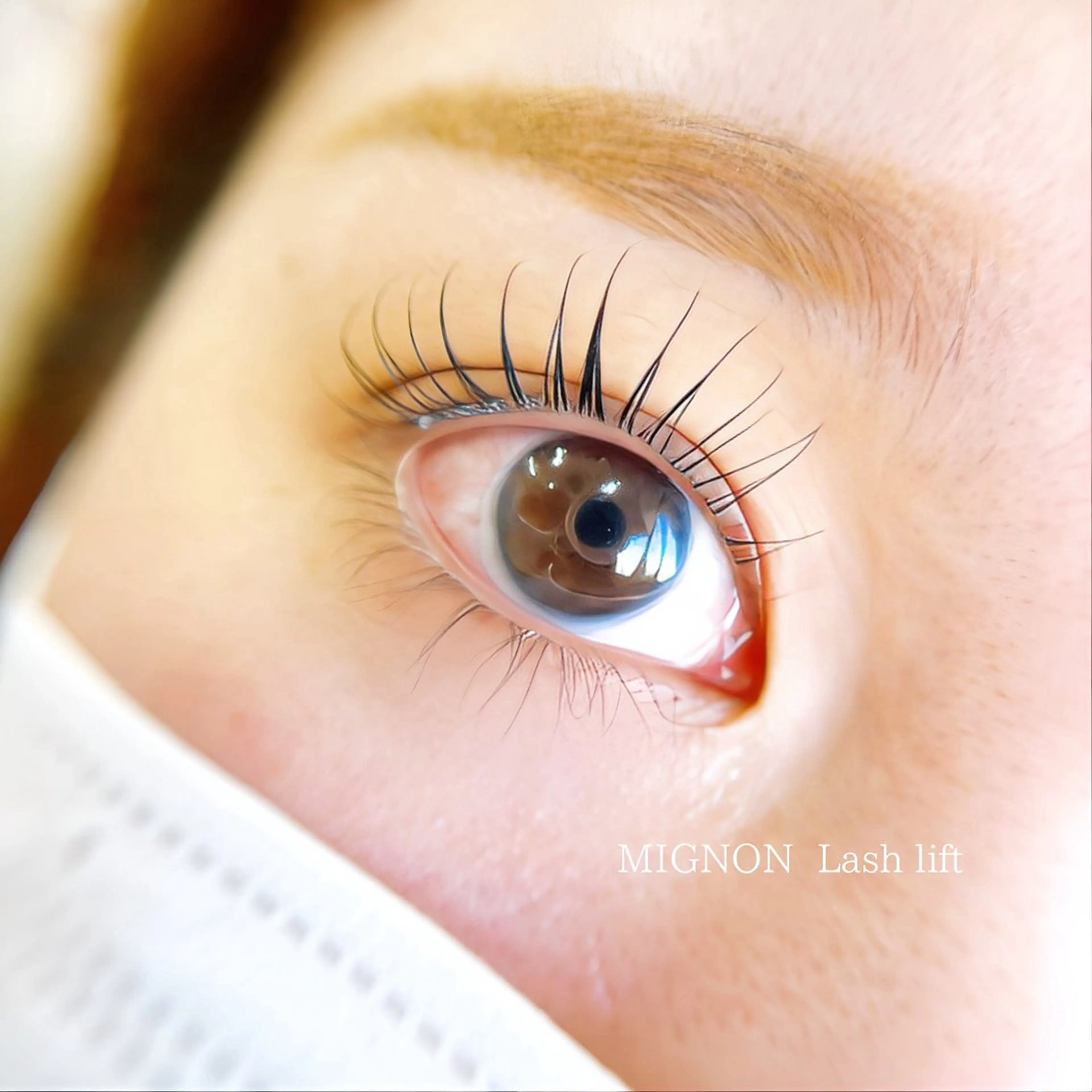 マツエク・マツパ MIGNON 冨田　当日予約のみのマツエク・マツパデザイン