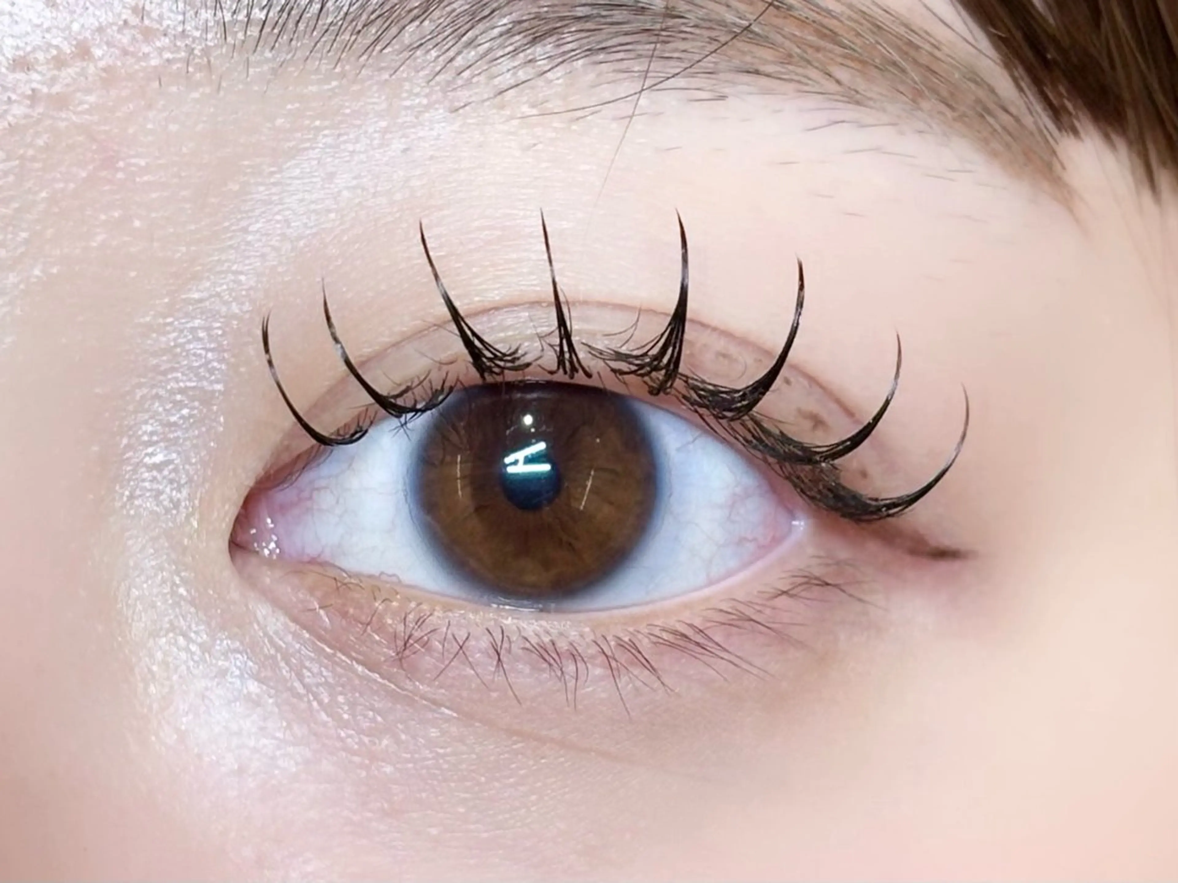 🎀4月限定 フラットラッシュ120本🎀の写真