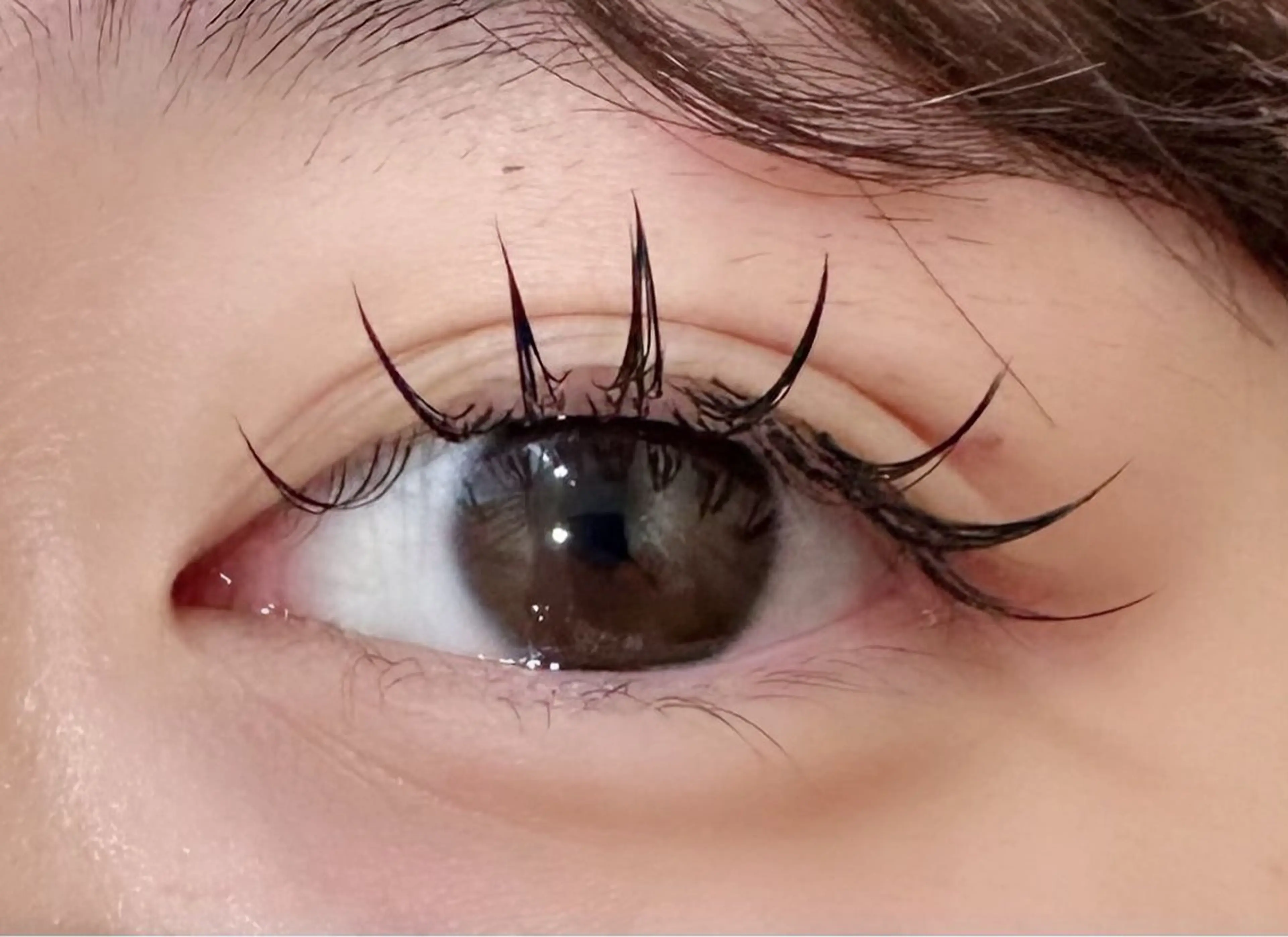 フラットラッシュ140本の写真