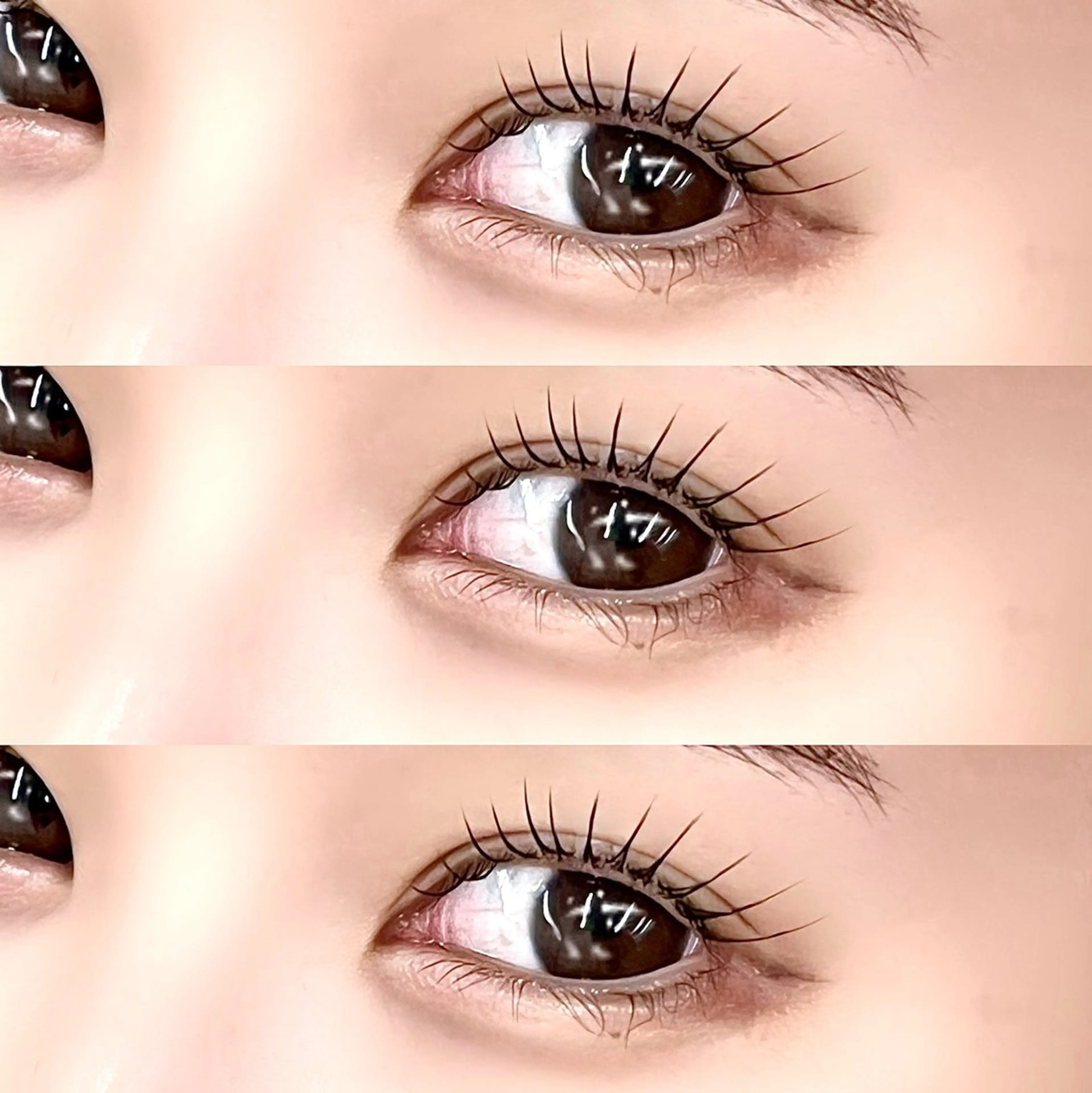 【次回予約限定】🩷parisenne lash lift 🩷（上下↕︎）の写真