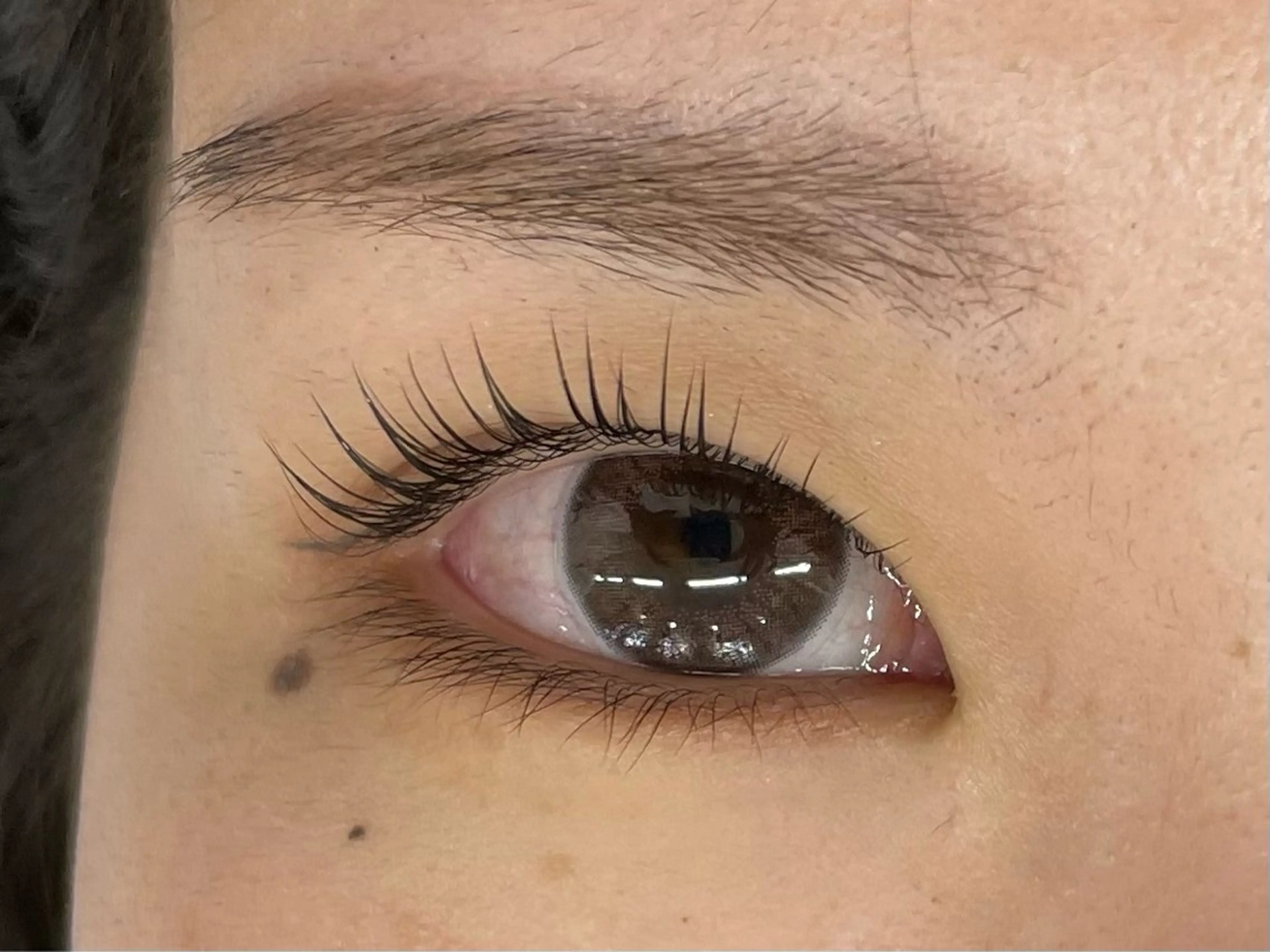 マツエク・マツパ マツパ マリーテレジア 🪻YUKAのマツエク・マツパデザイン