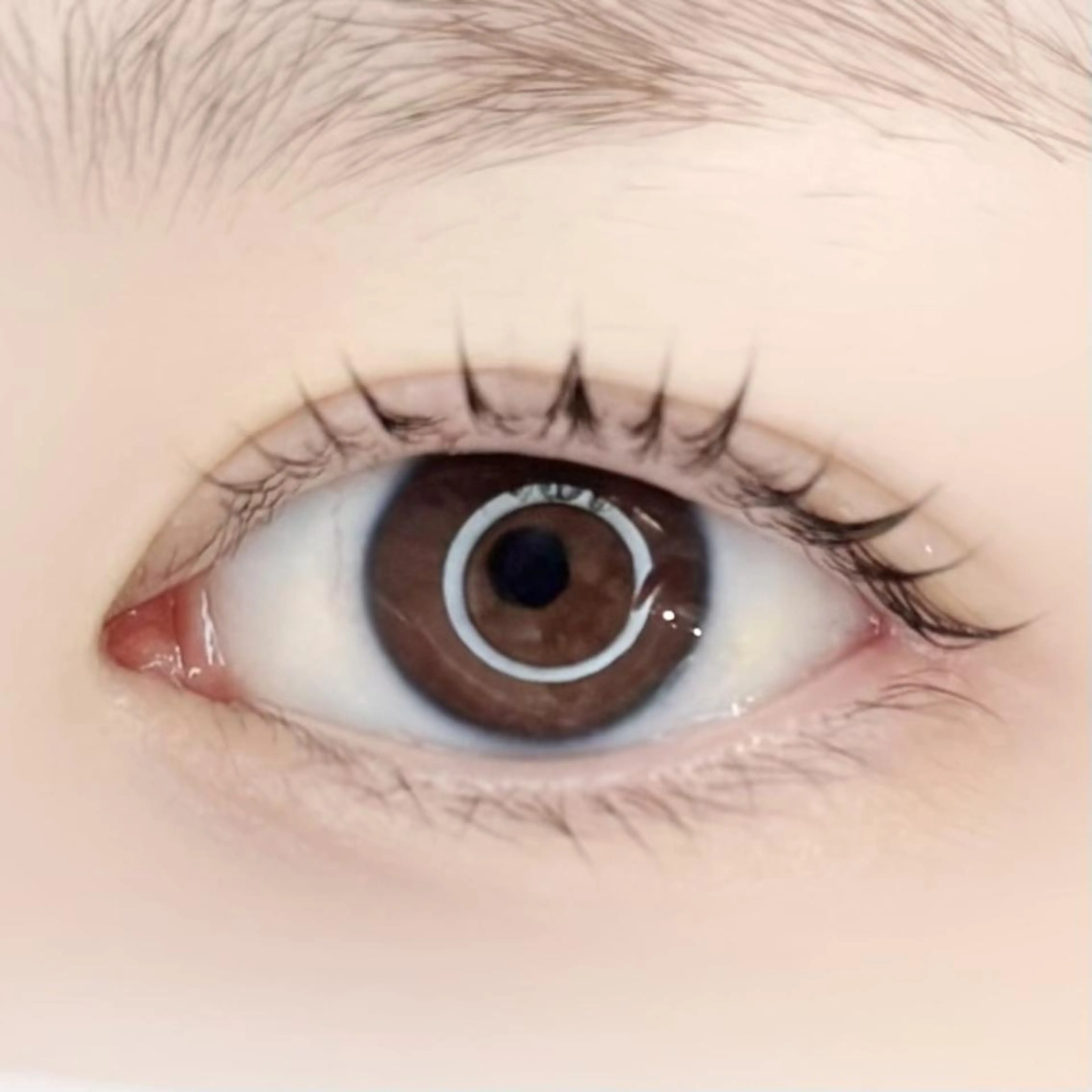 マツエク・マツパ 束感まつ毛 フラットラッシュ 韓国風マツエク ナチュラル まつげパーマ 🌻まつ毛&眉毛 yukimi⛄️🖤の眉毛・アイブロウイメージ