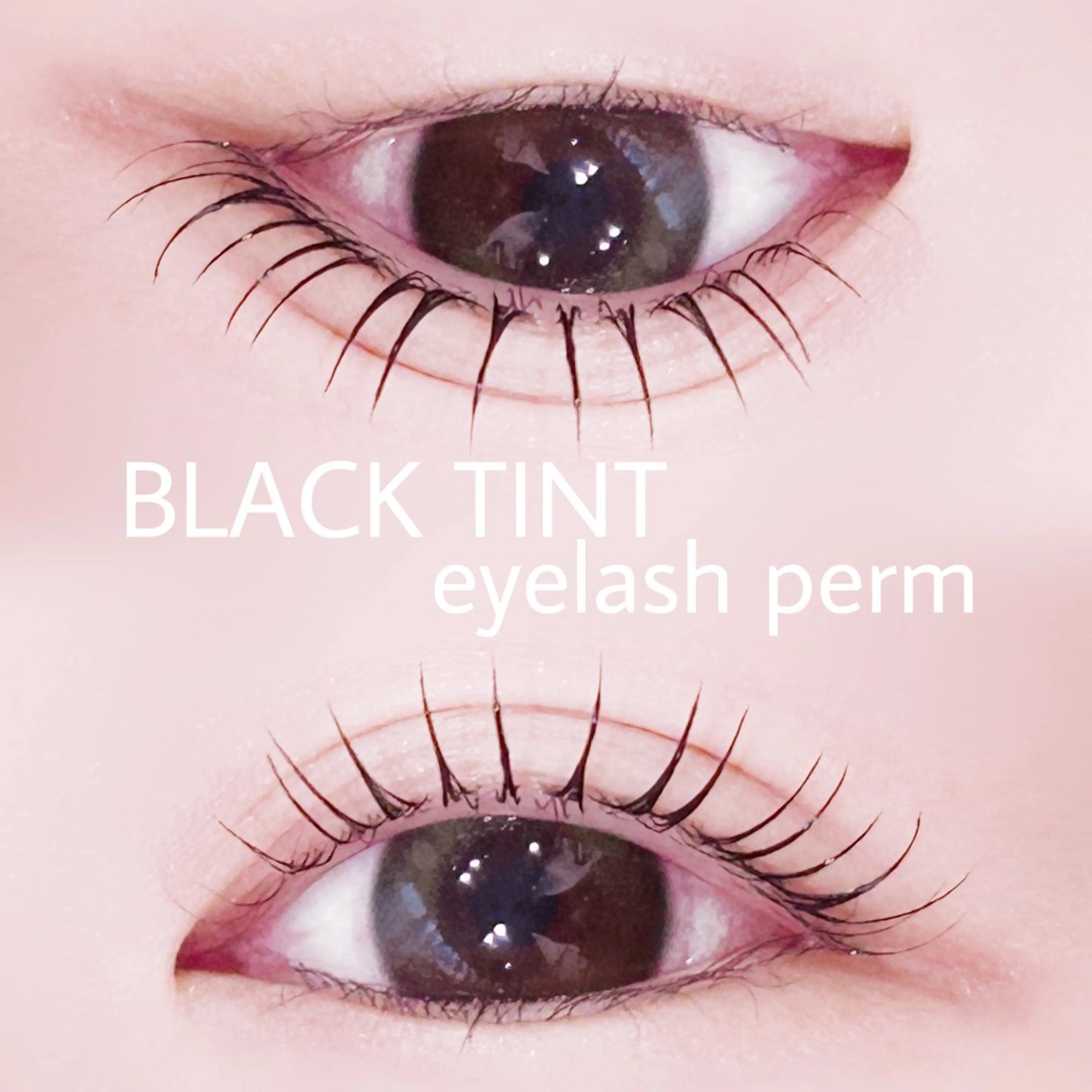 🎀《snsで話題》🎀ブラックティントパーマお仕上げコーティング付き🖤の写真