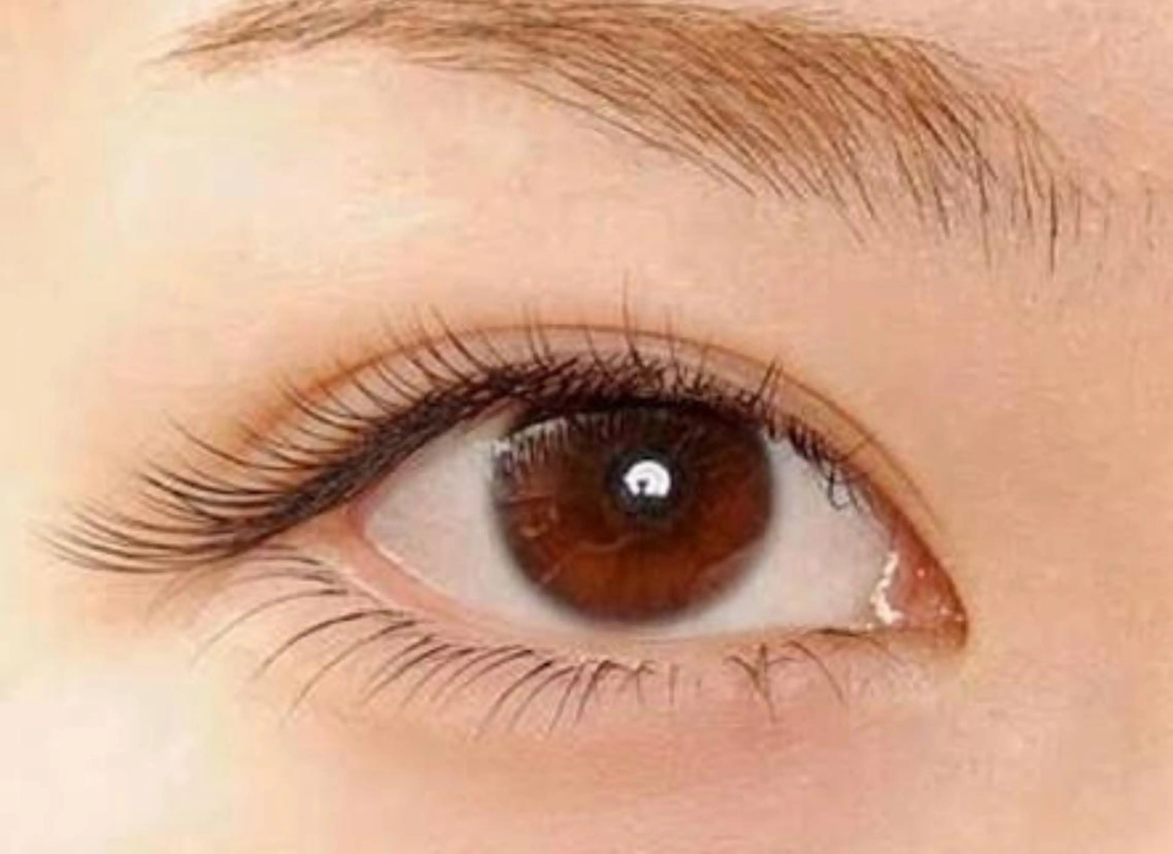 マツエク・マツパ eyelash salon mu-te所属・C hihoのマツエク・マツパデザイン