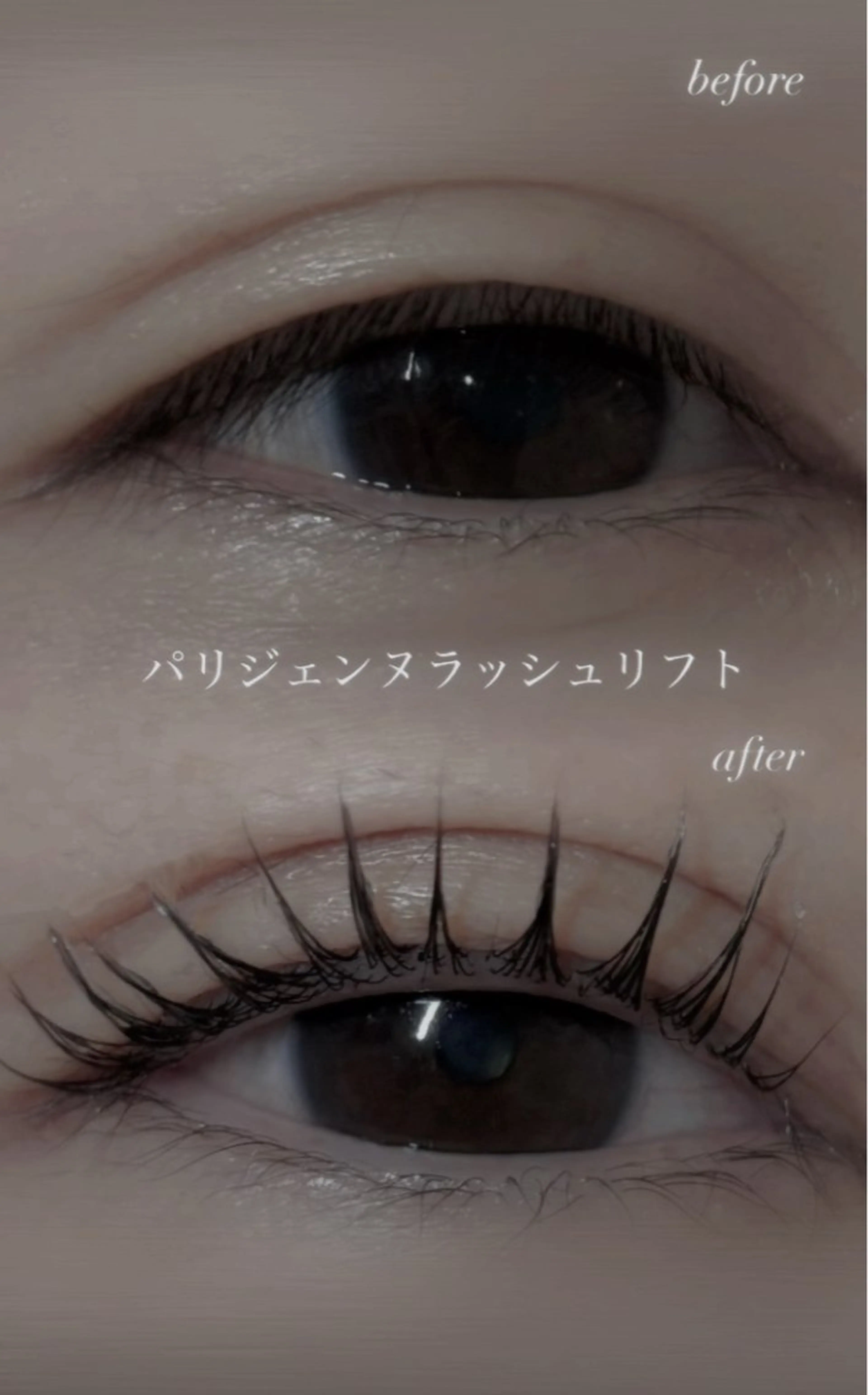 マツエク・マツパ パリジェンヌラッシュリフト 仲尾 奏音のマツエク・マツパデザイン