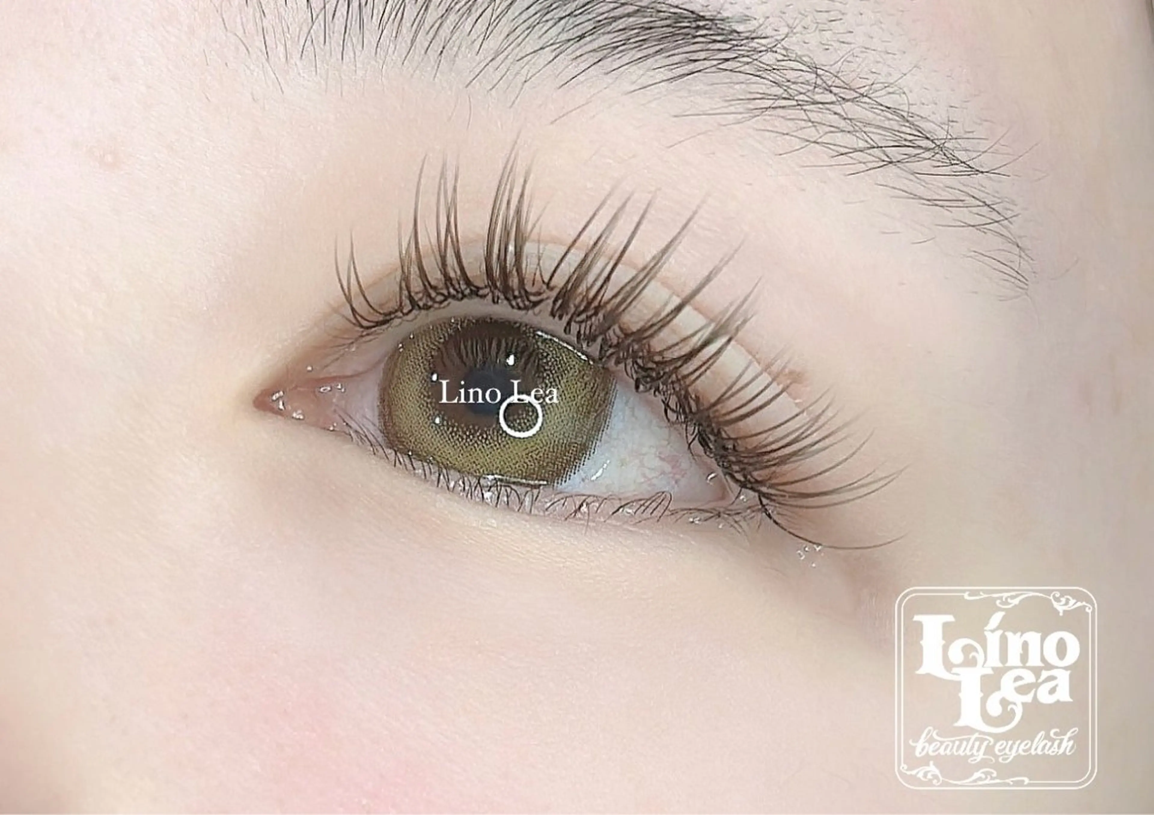 マツエク・マツパ ワンホンマツエク マツエク Lino  Lea NATSUMIのマツエク・マツパデザイン