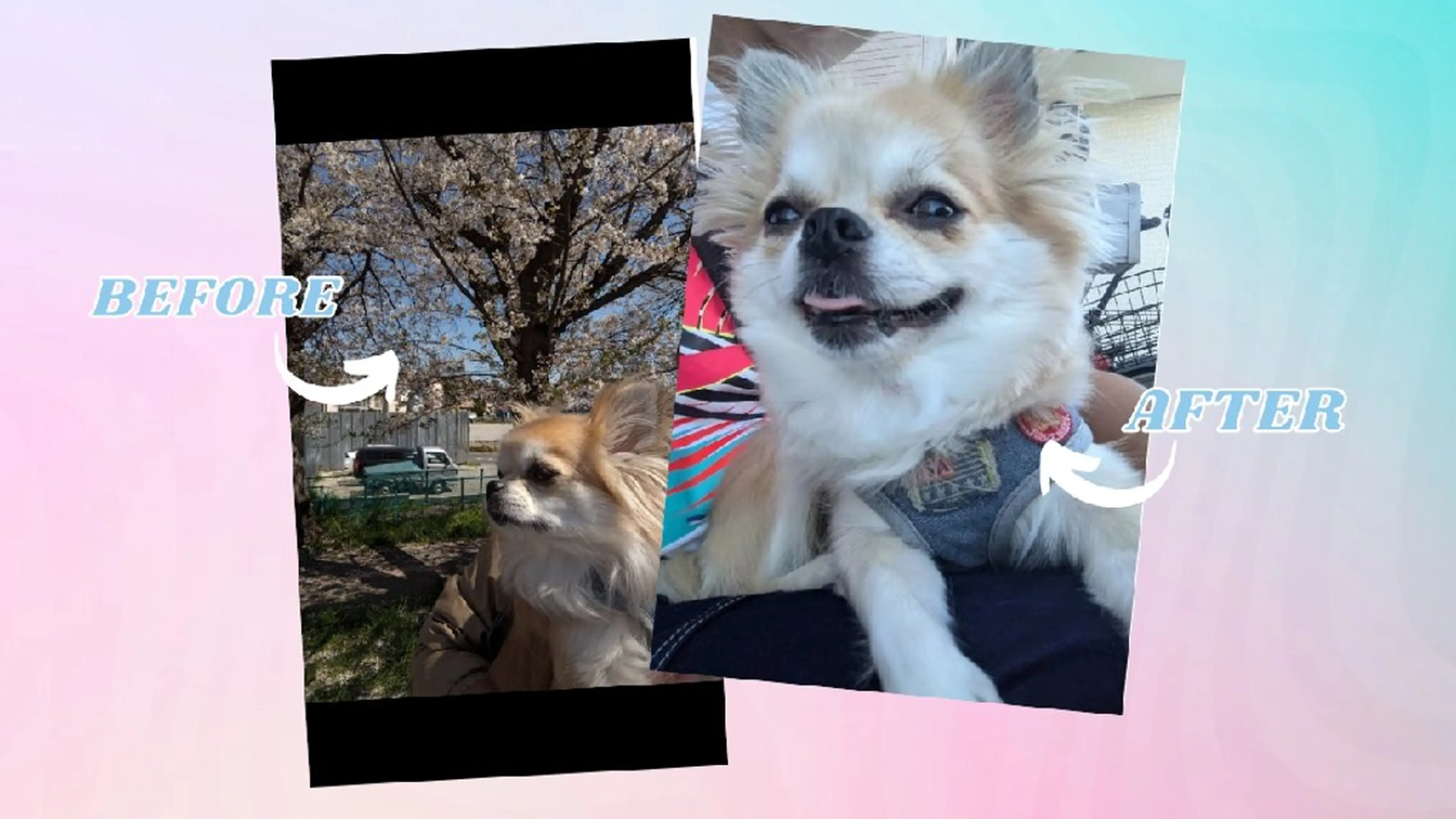 縮毛矯正・髪質改善専門店 髪屋こころ 東川口店所属・髪屋こころ 峯村 衣舞のヘアスタイル