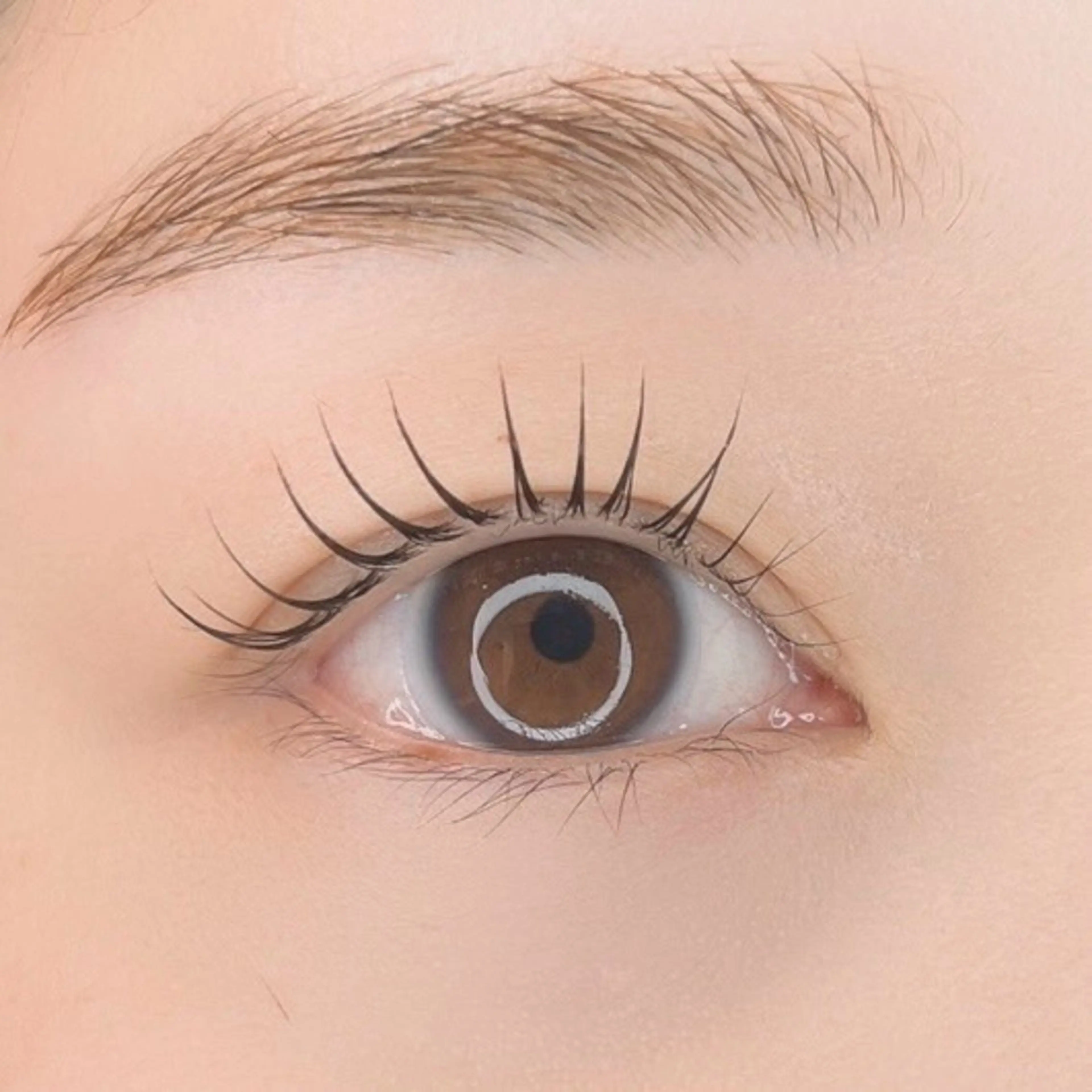 【レッスンモデル募集中✨】 まつげパーマorパリジェンヌの写真