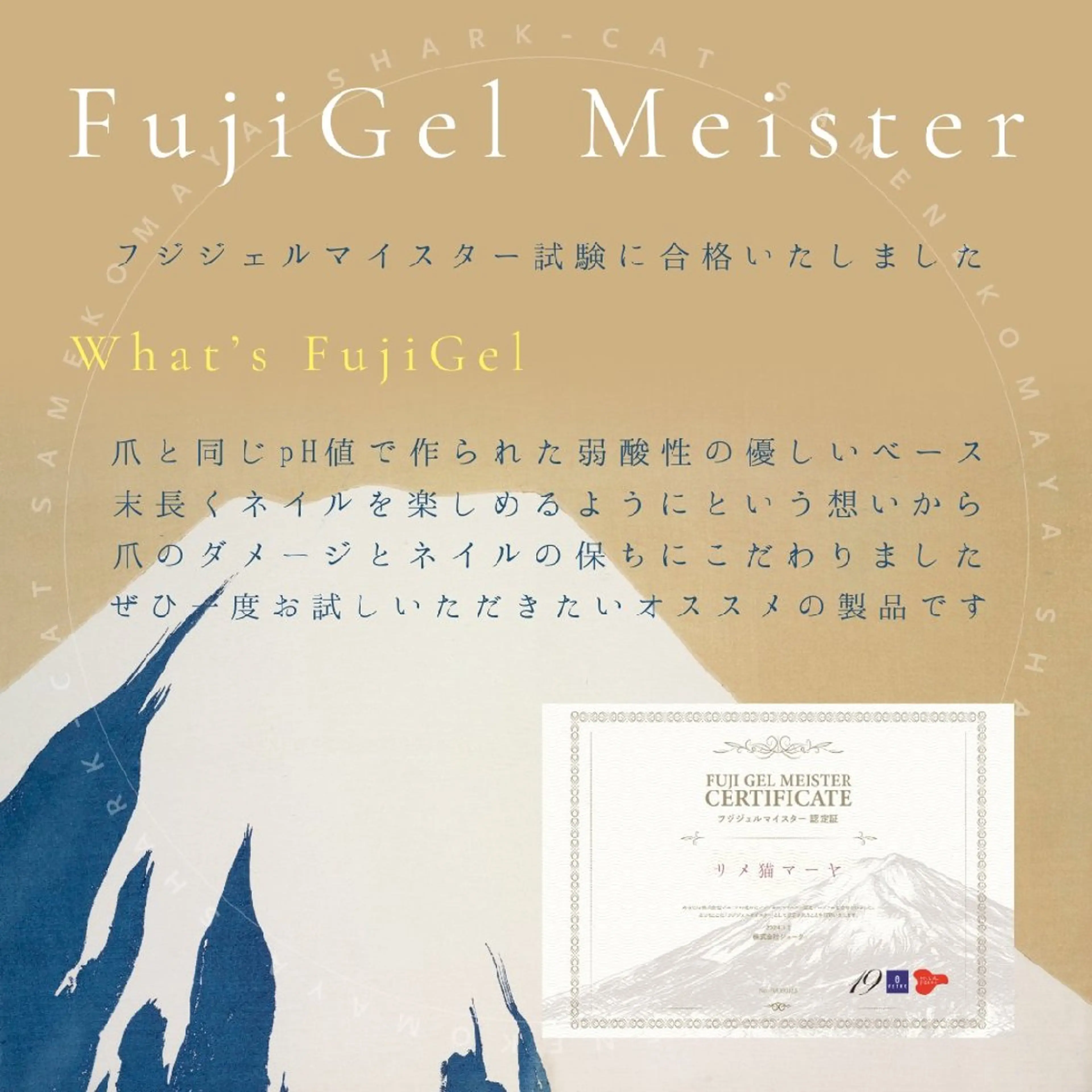 ネイル サメ猫 マーヤのネイルデザイン