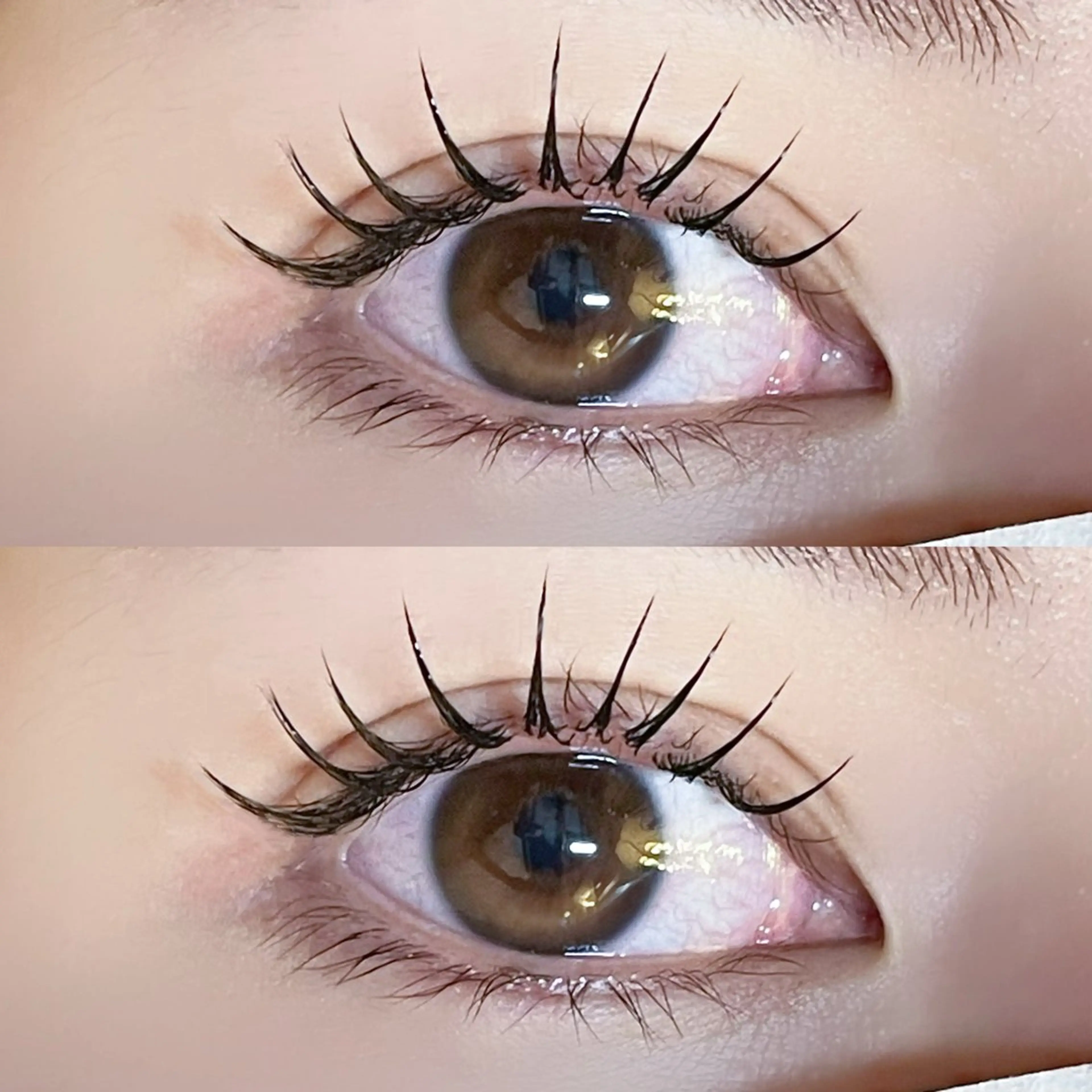 LEDフラットラッシュ100~140本⋆⸜🎀⸝‍⋆(Lカール変更可･本数により値段変動致します)の写真