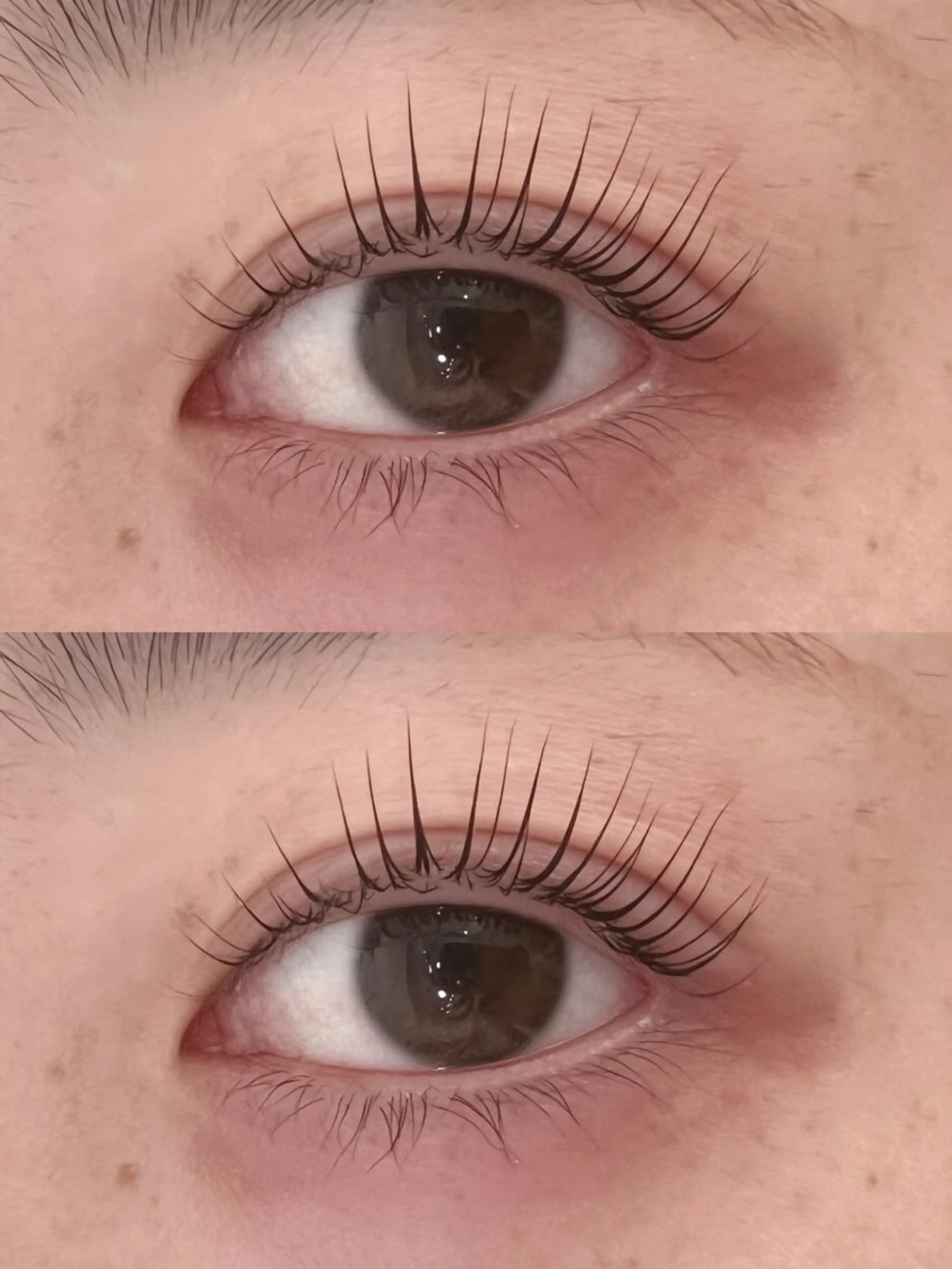 【新規🍓パリジェンヌラッシュリフト🍓（トリートメント付）】の写真