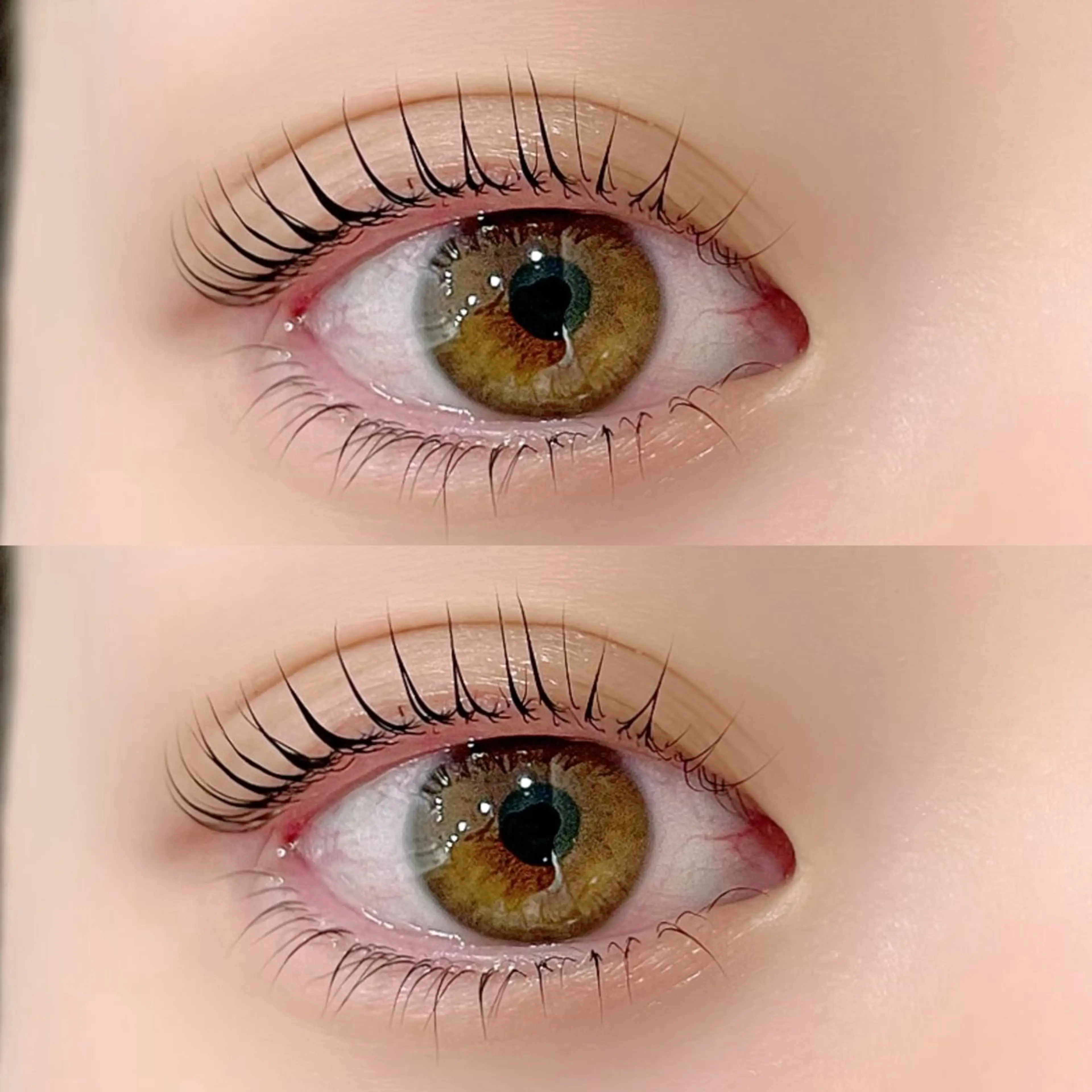 🌿‬限定🌿‬まつげパーマorパリジェンヌ＋眉毛カットの写真