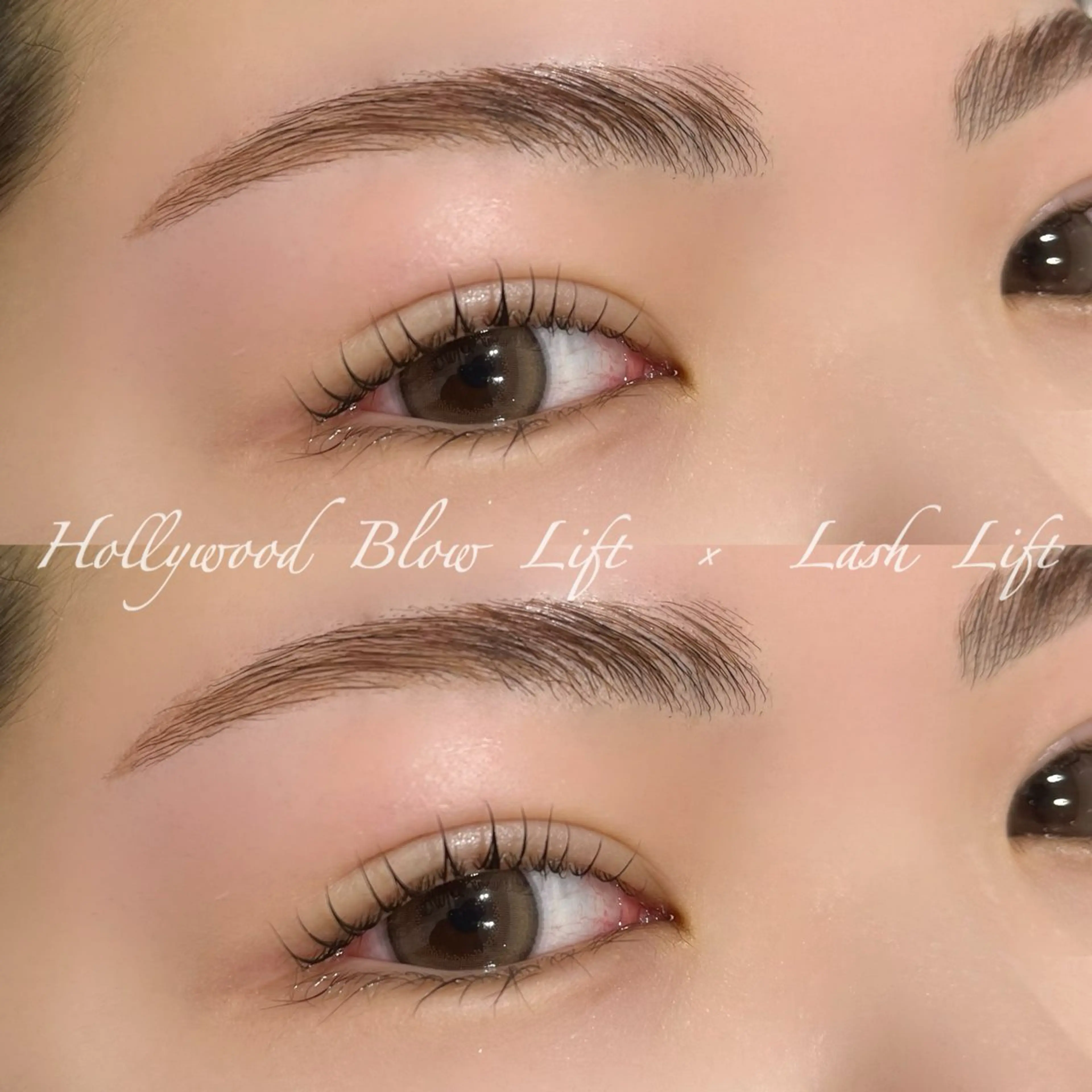 Hollywood  blow  liftの写真