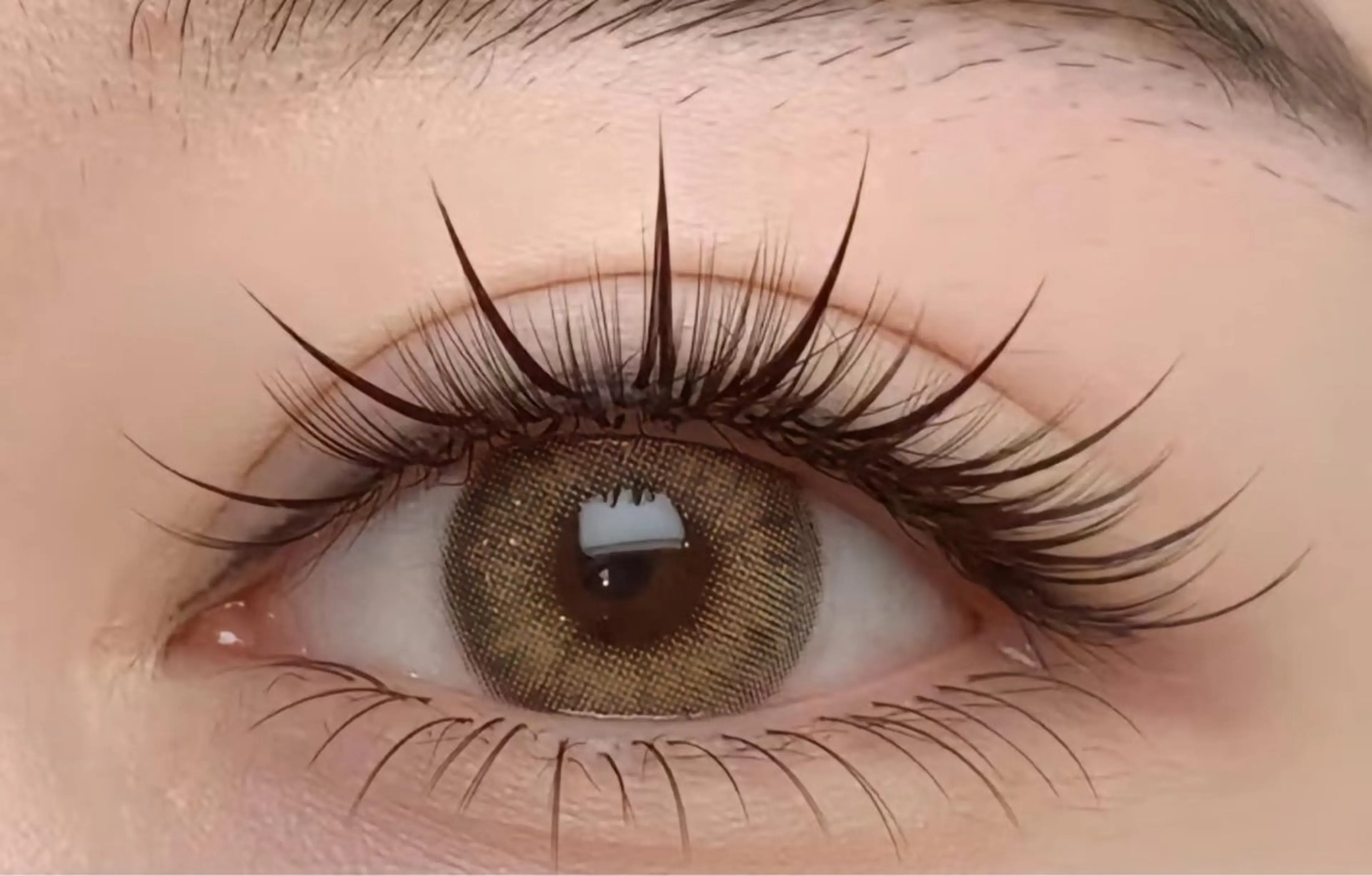 【まつげエクステ】⭐️オフ無料⭐️ワンホンデザイン100束🩵束感コーティング付🩵の写真