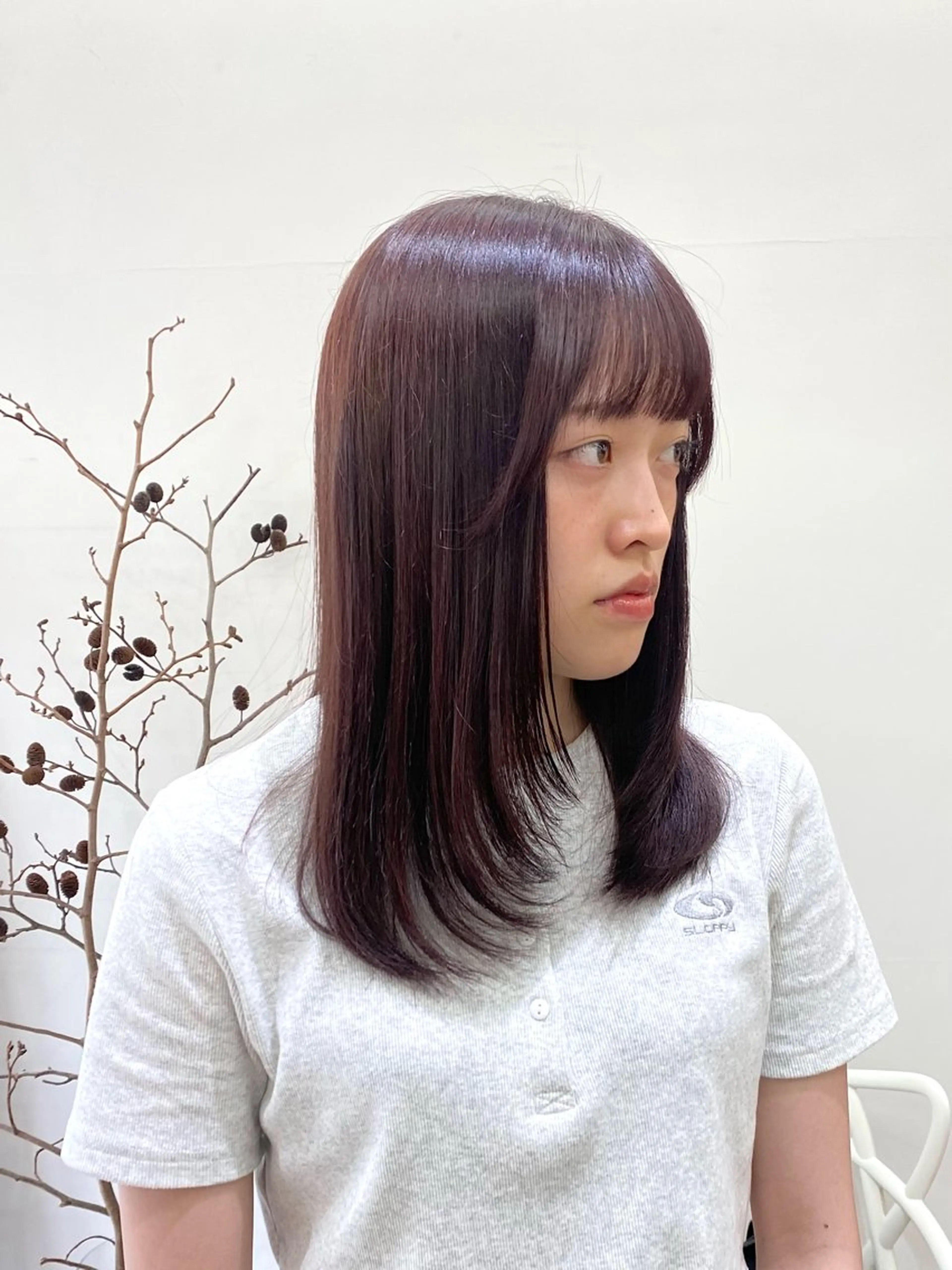 ミディアム カラー ヘアアレンジ カット ヘアカラー トリートメント ハル🌸柔色/ ブリーチなし/艶髪のヘアスタイル