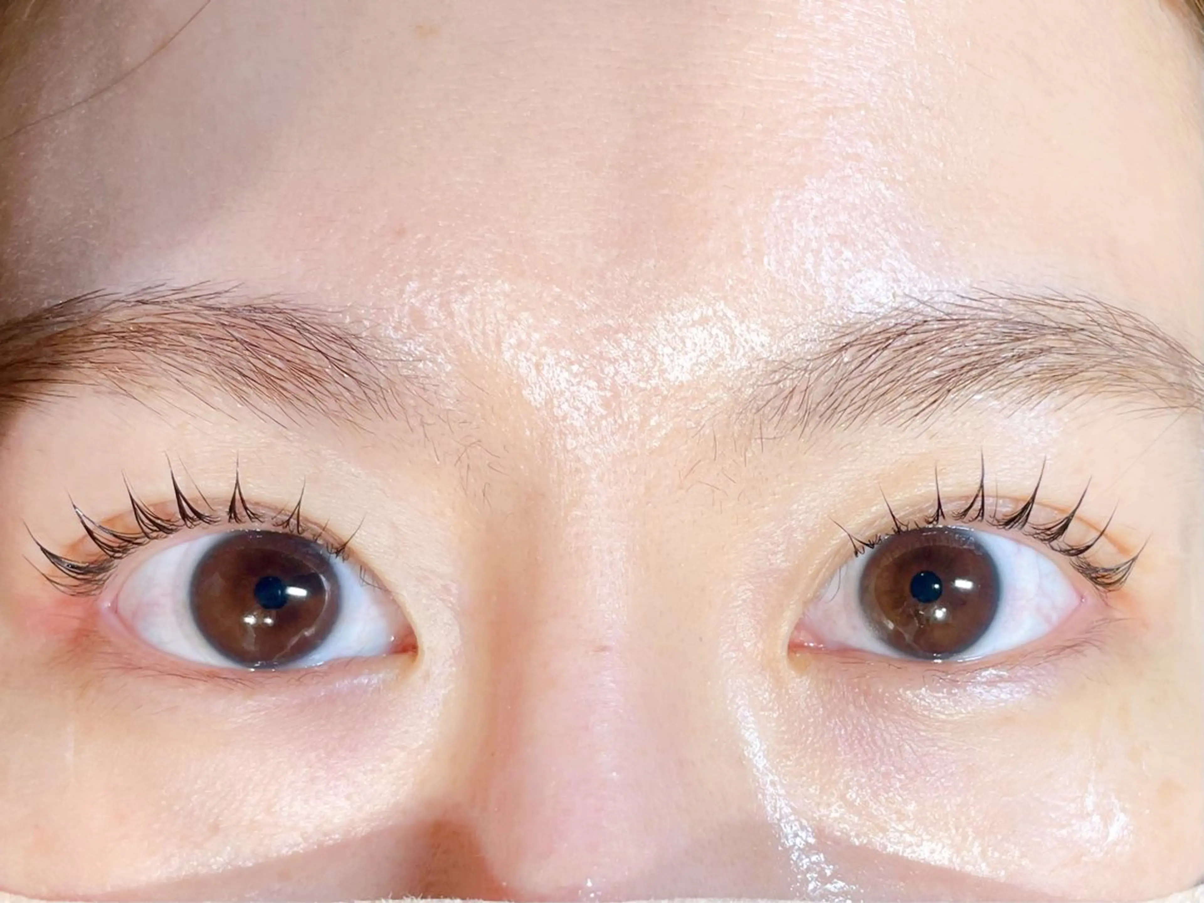 マツエク・マツパ 束感まつ毛 韓国風マツエク 一重×まつ毛パーマ ワンホンマツエク lihilihi Akaneのマツエク・マツパデザイン