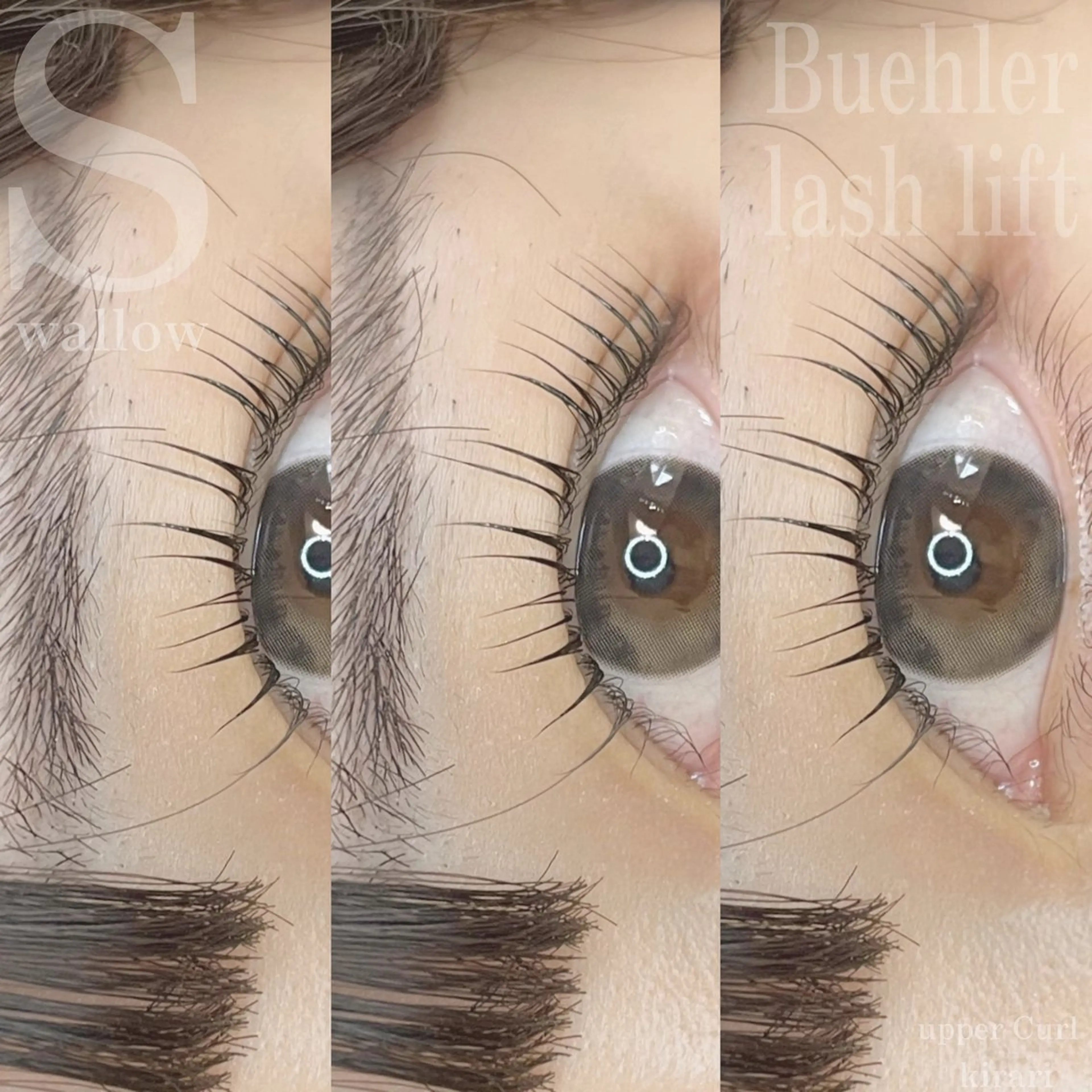 マツエク・マツパ Swallow 広島店のマツエク・マツパデザイン