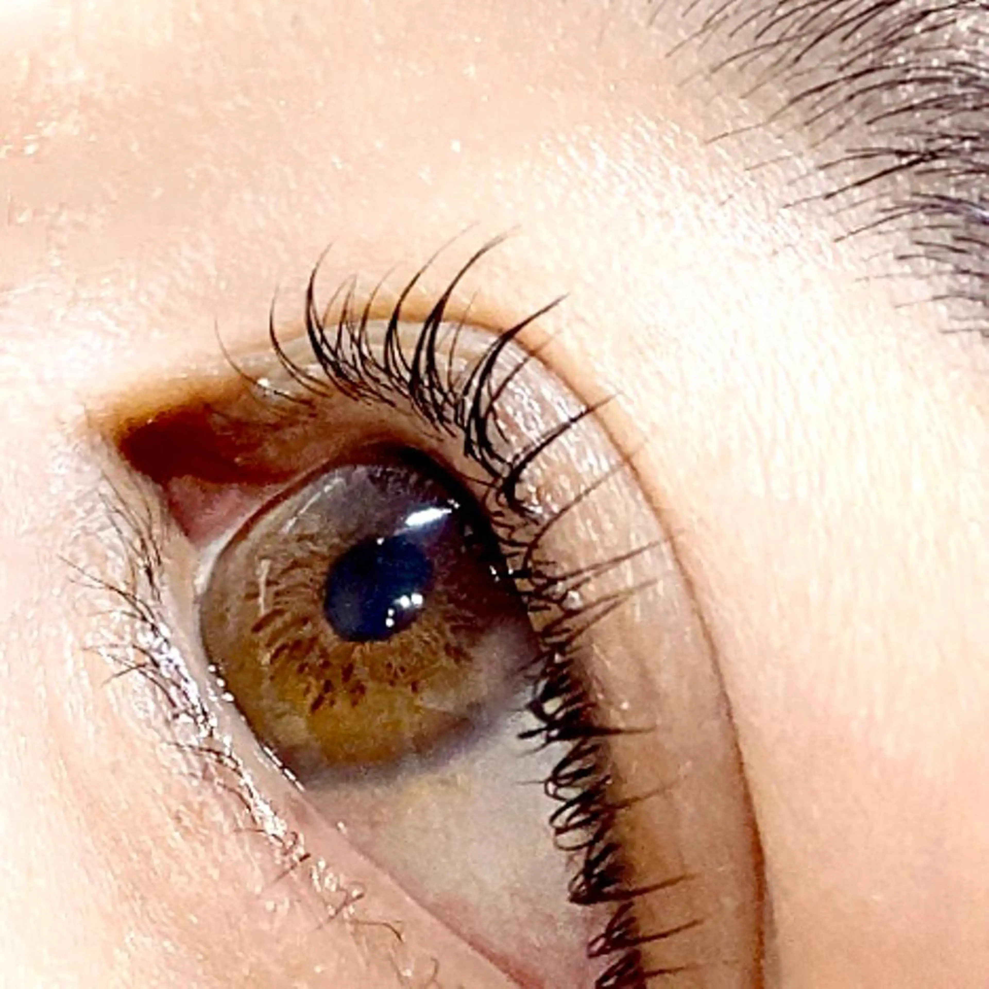 マツエク・マツパ パリジェンヌラッシュリフト マツパ ponopipi 小倉店のマツエク・マツパデザイン