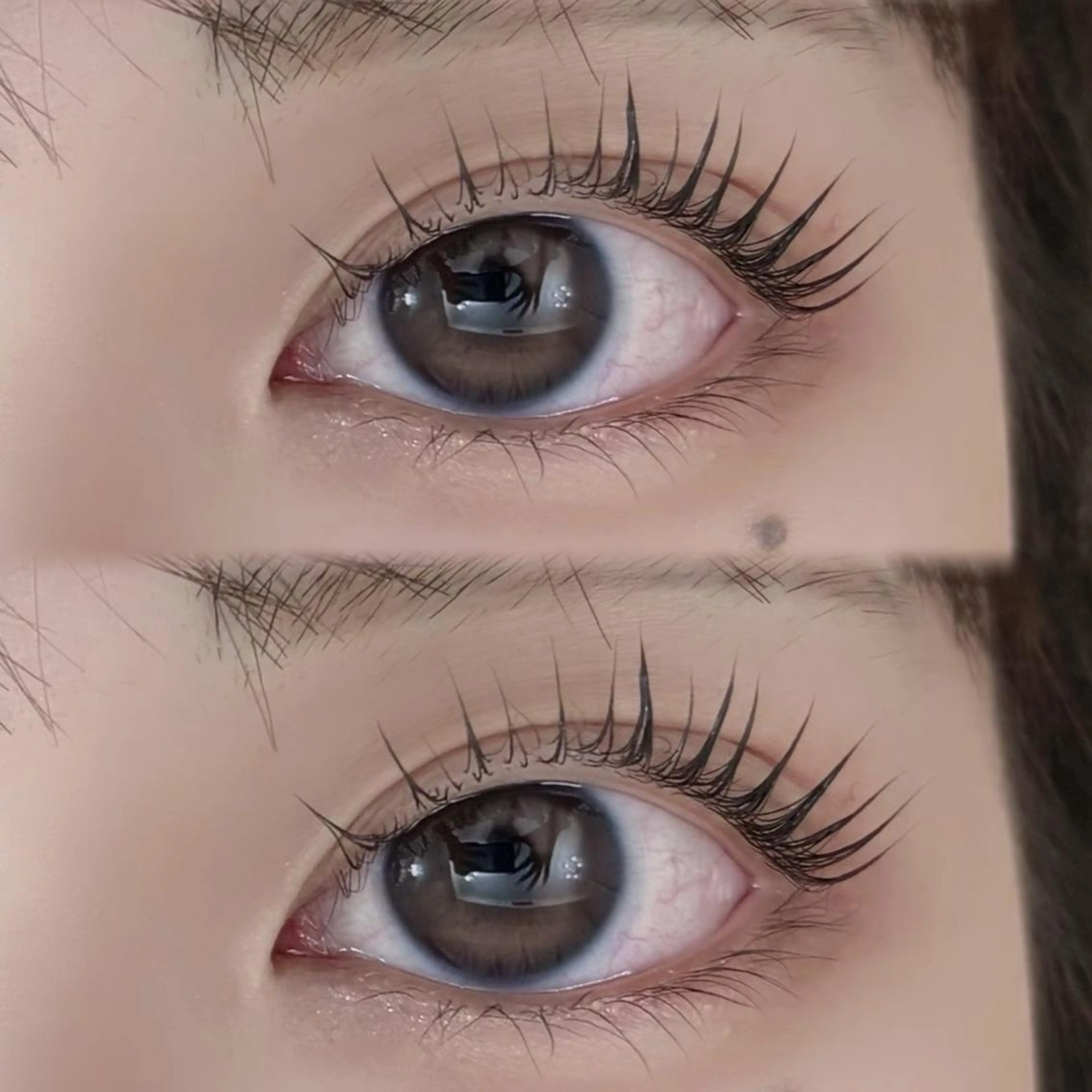 【12月平日ご新規インスタフォロワー様限定】30分まつ毛パーマ¥2,500の写真