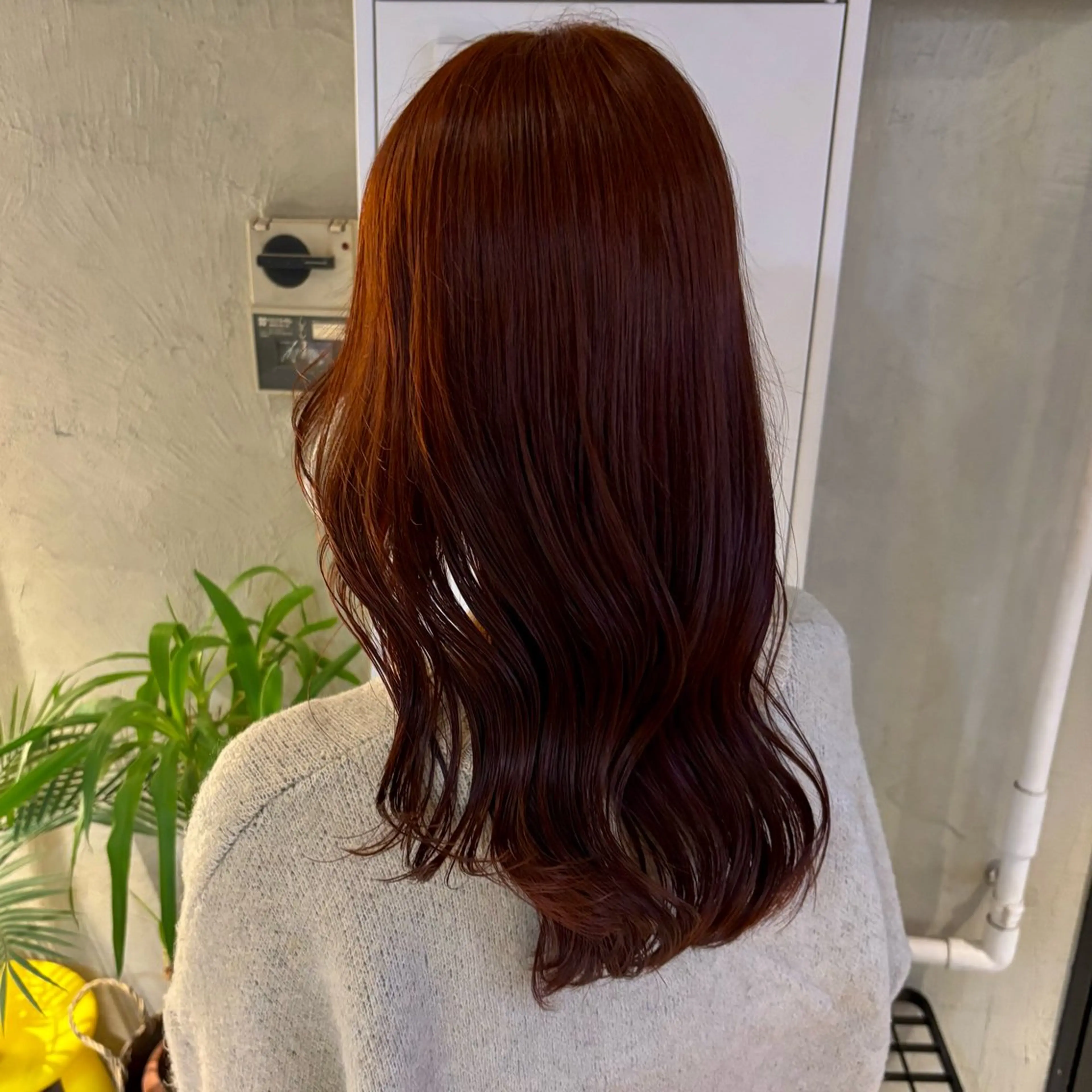 ✨🎀minimo限定🎀✨【ワンカラー➕1stepTR】の写真