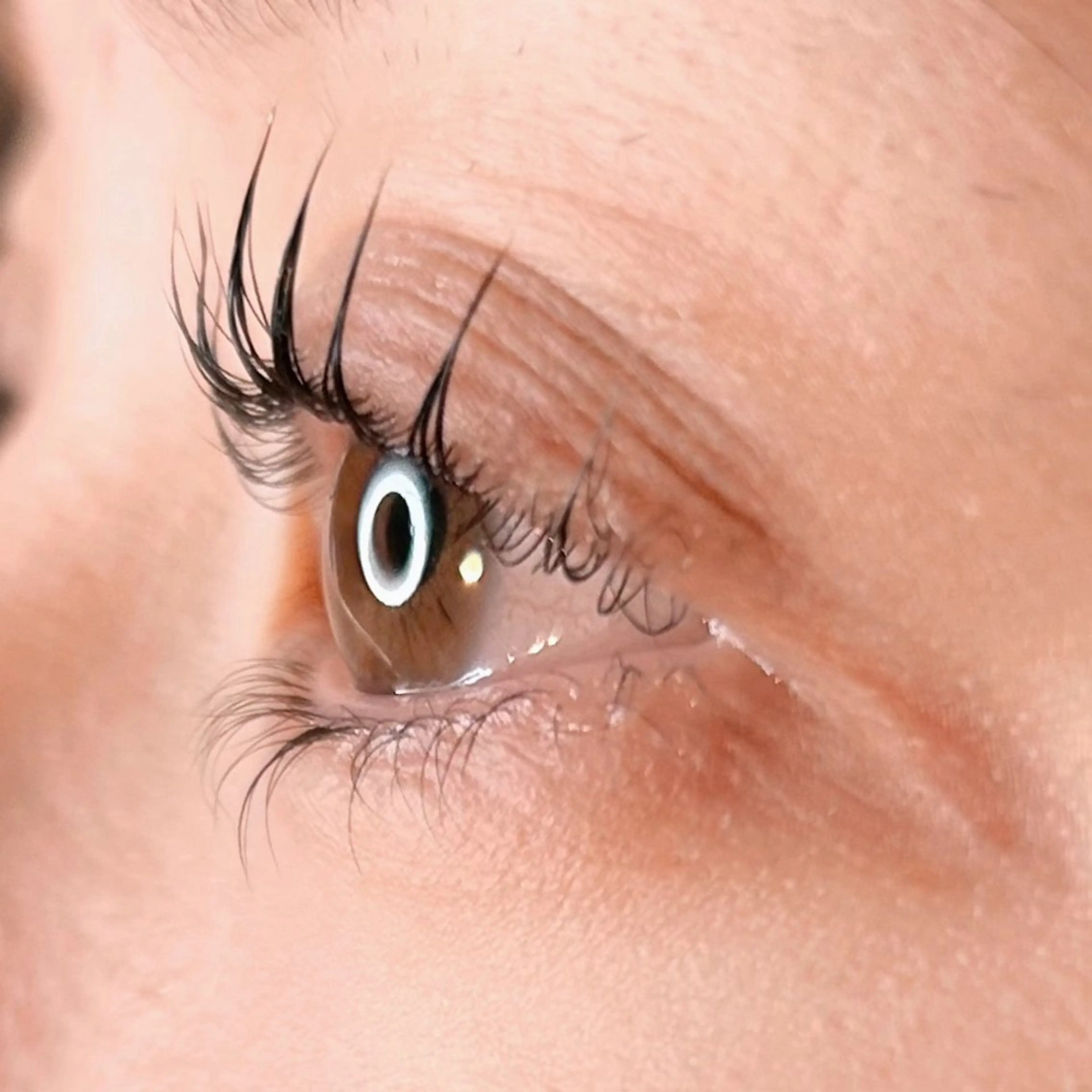 期間限定🎄パリジェンヌの写真