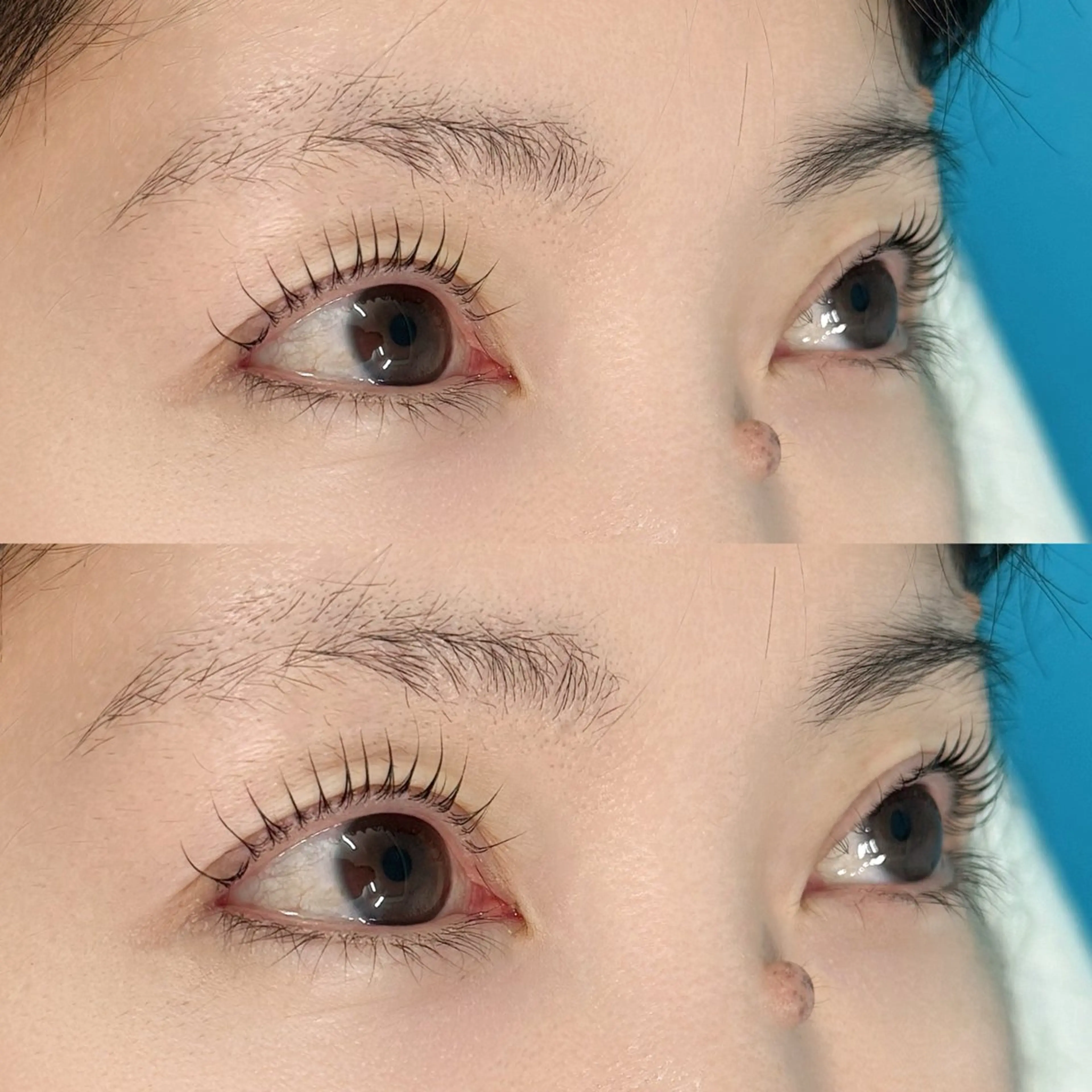 マツエク・マツパ マツパ maisbonita eyelash🦋のマツエク・マツパデザイン