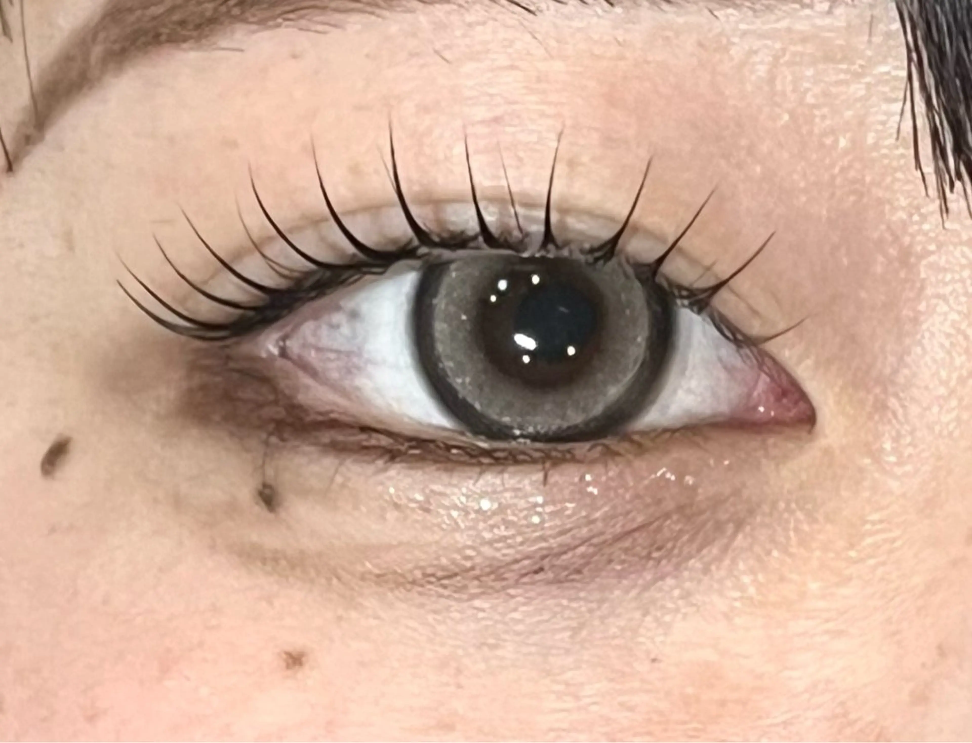 マツエク・マツパ マツパ REMIA 横須賀店所属・とうはた 🎀のマツエク・マツパデザイン