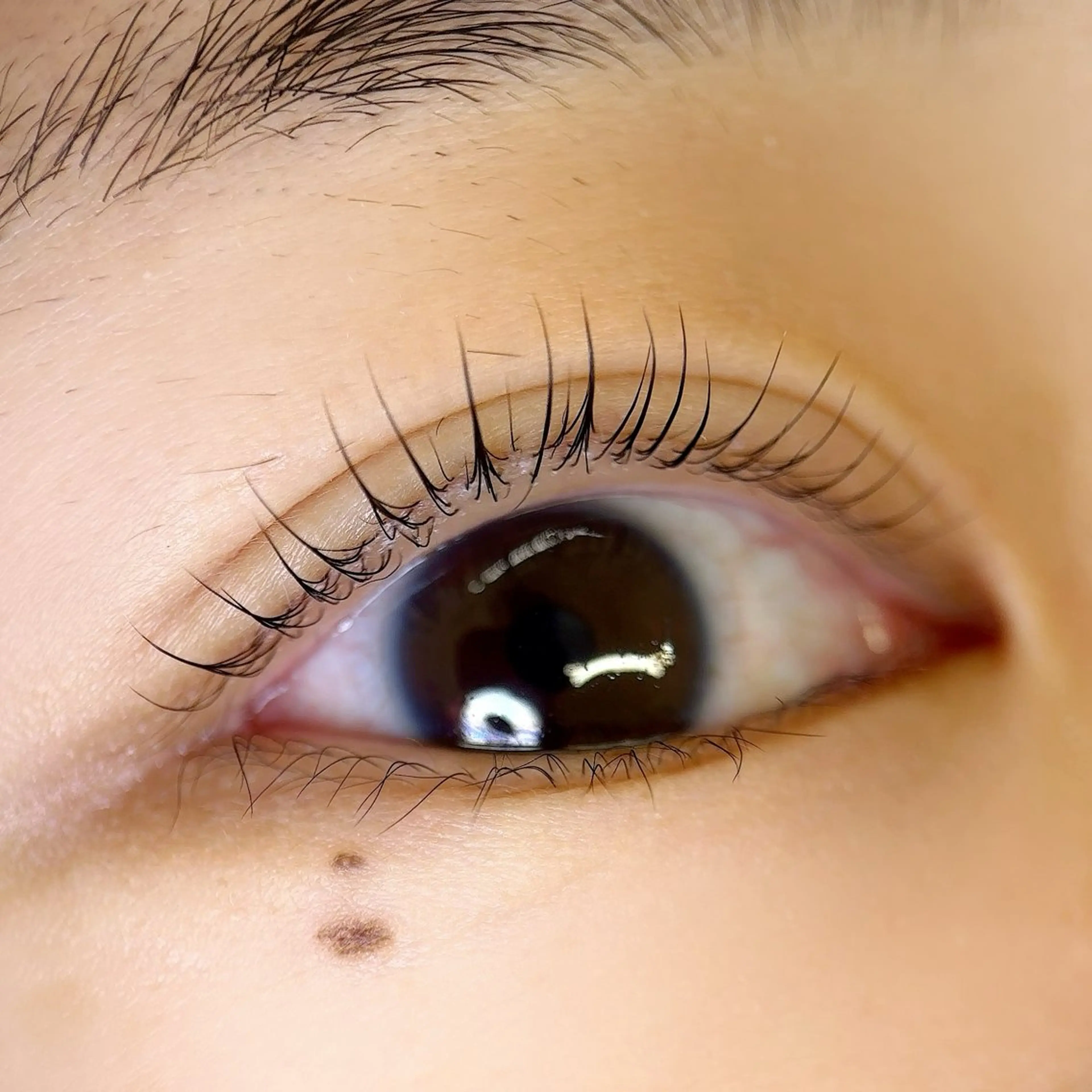 【日時限定🌸】パリジェンヌラッシュリフトor似合わせラッシュリフトの写真