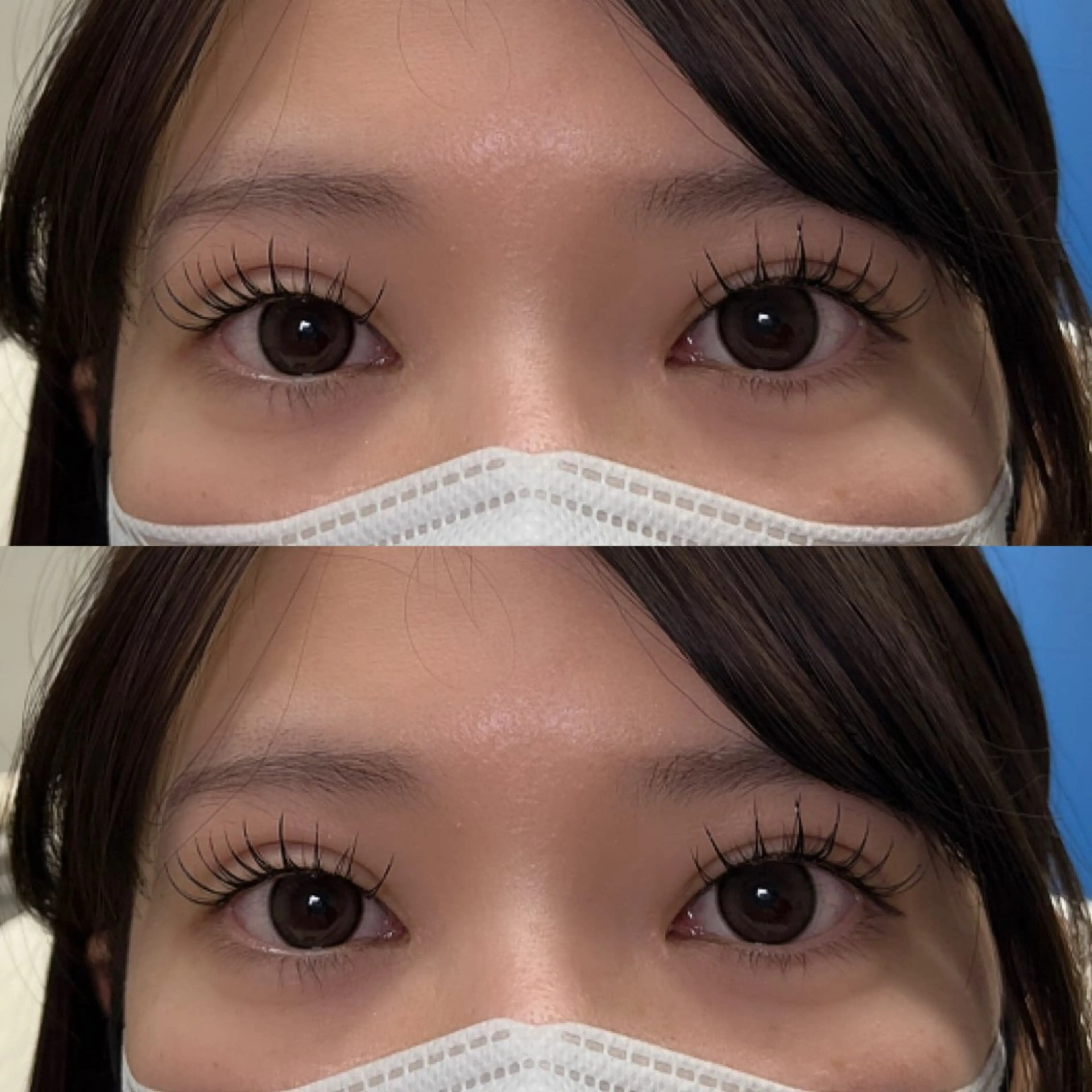 フラットラッシュ120本 (オフ+500円)の写真