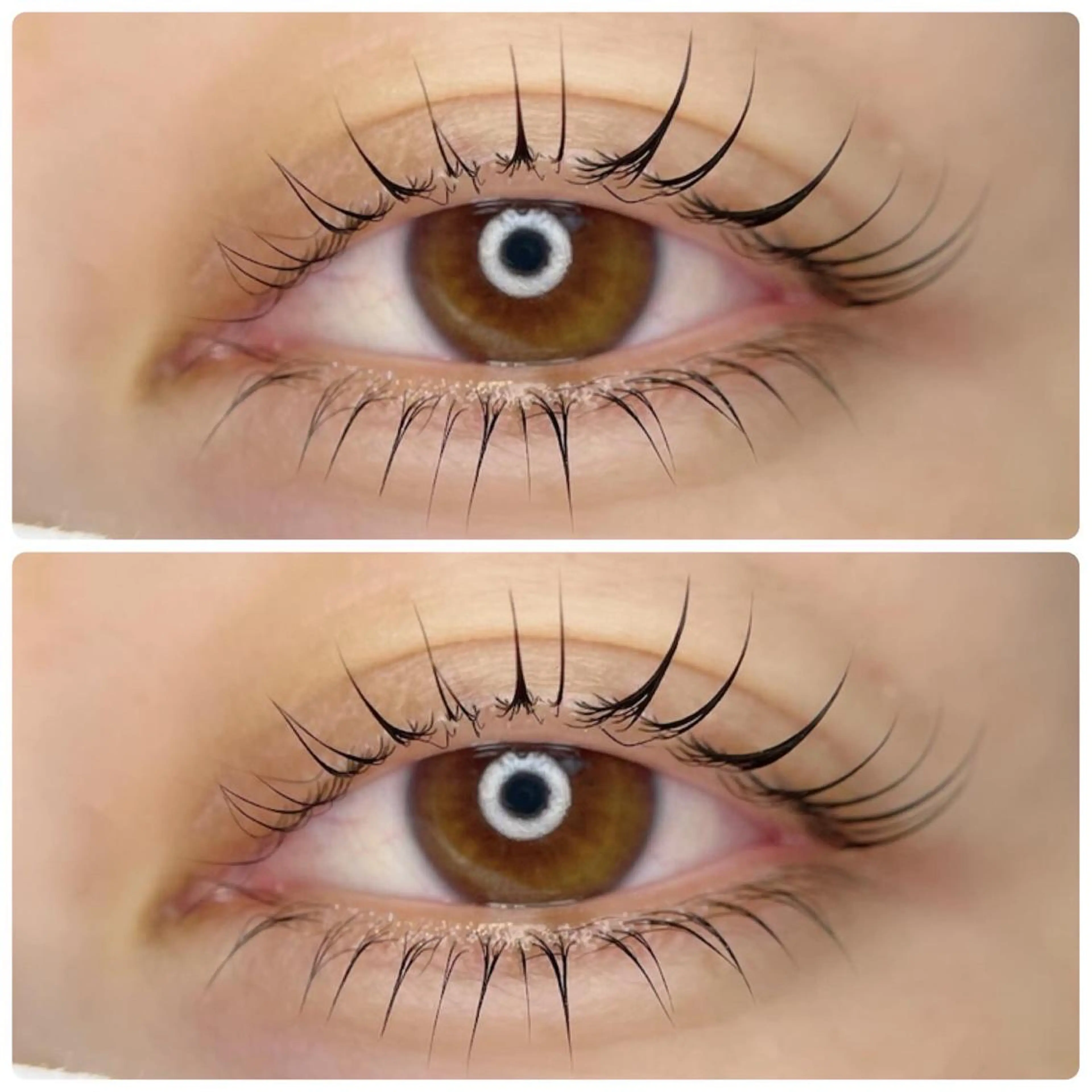 似合わせラッシュリフト・次世代まつげパーマ上下‪‪☺︎‬美容コーティング付き♡の写真