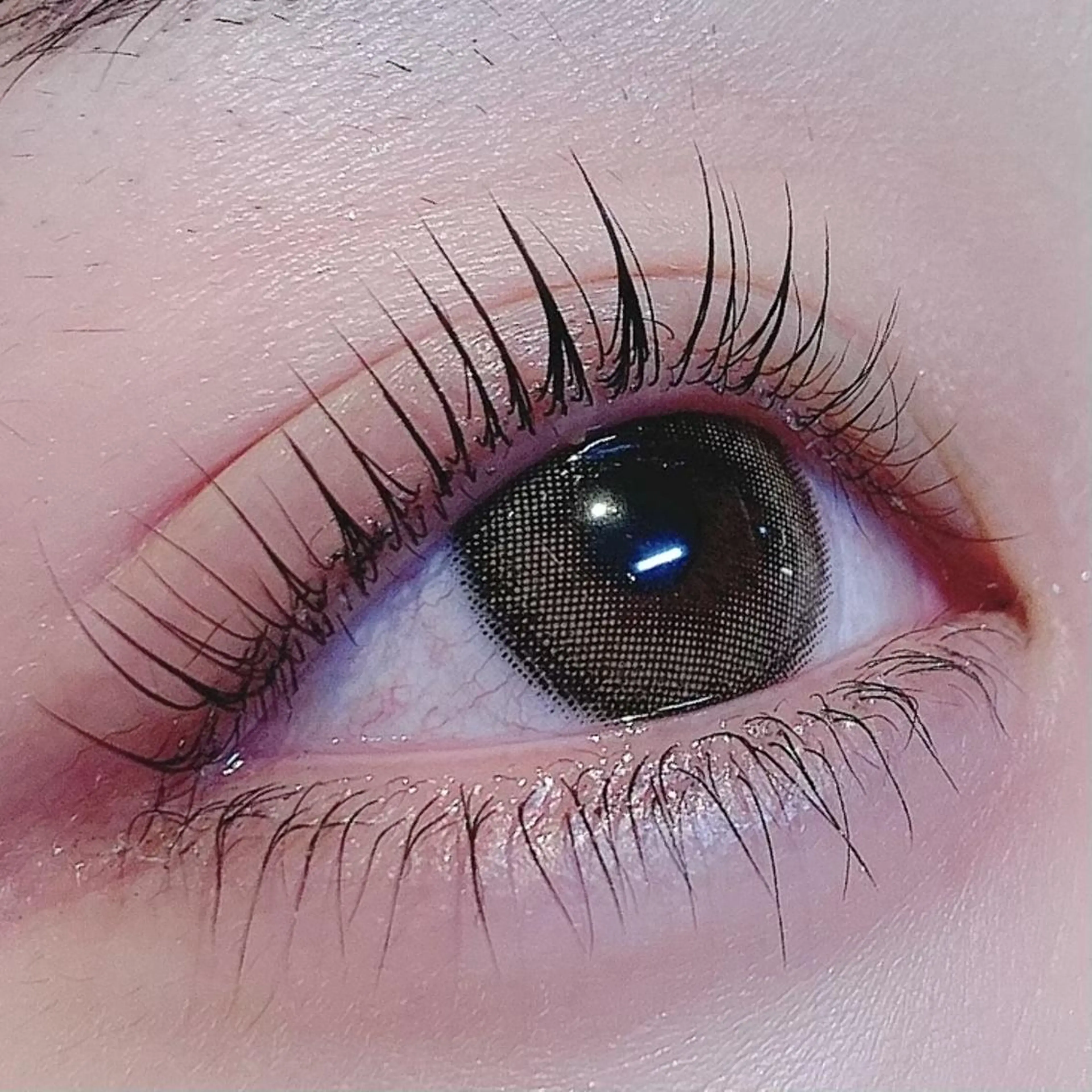 《来店3回目まで使用可⭐️》上下パリジェンヌラッシュリフトの写真