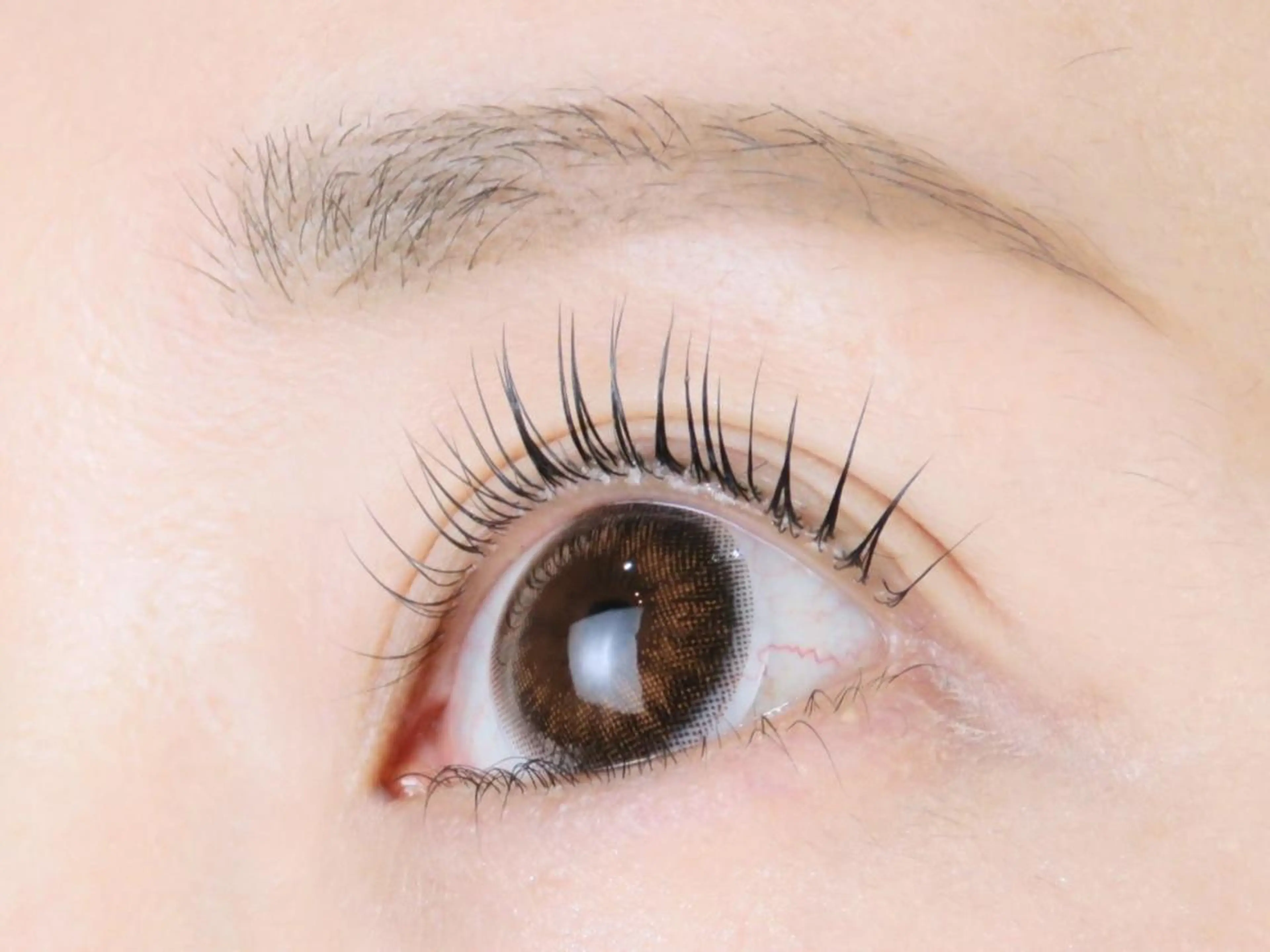 マツエク・マツパ ブリリアンス東京 銀座店のマツエク・マツパデザイン