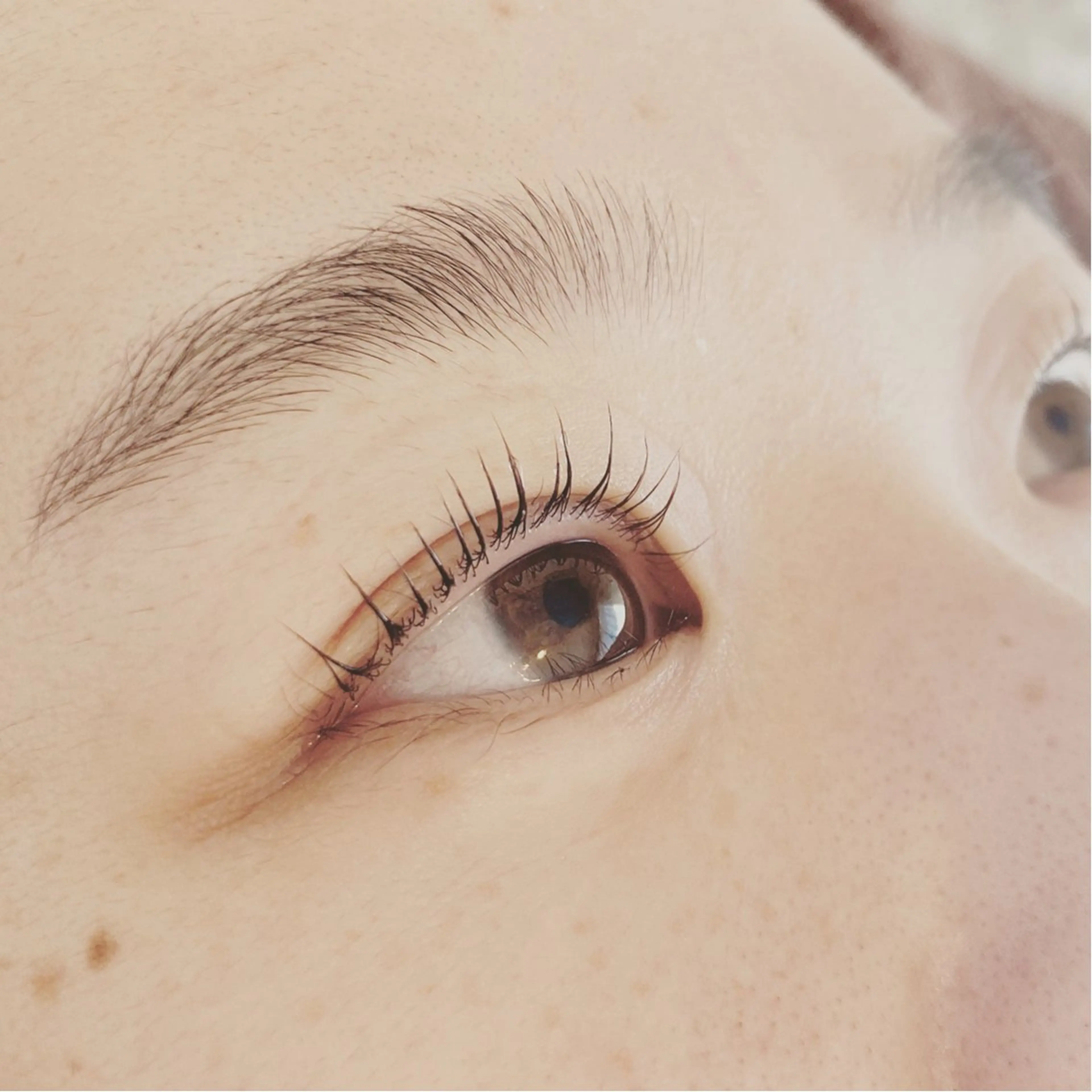 マツエク・マツパ マツパ BELLÉ TRINITYのエステ・リラクイメージ