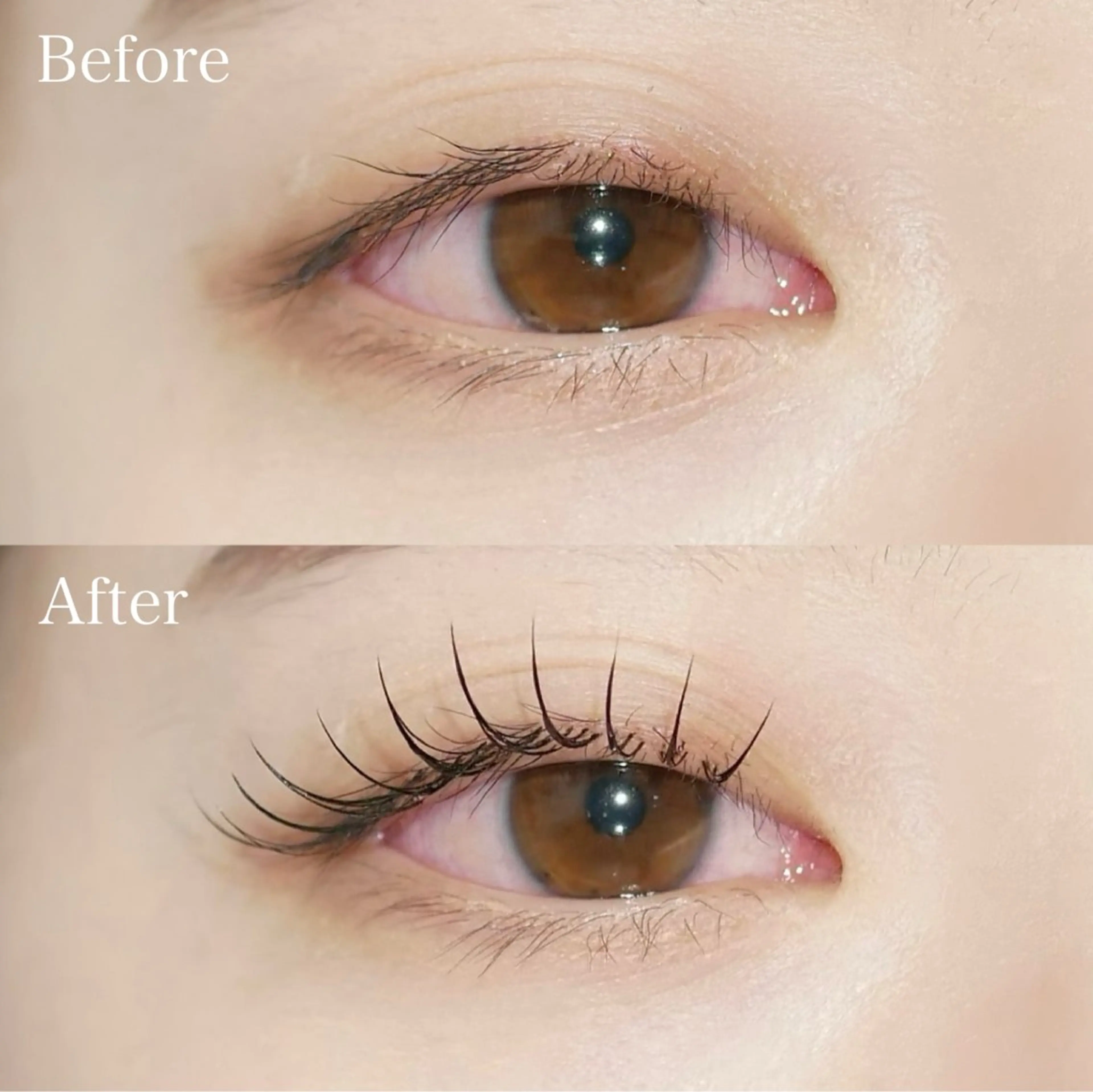 マツエク・マツパ THE SALON 五反田 hのマツエク・マツパデザイン