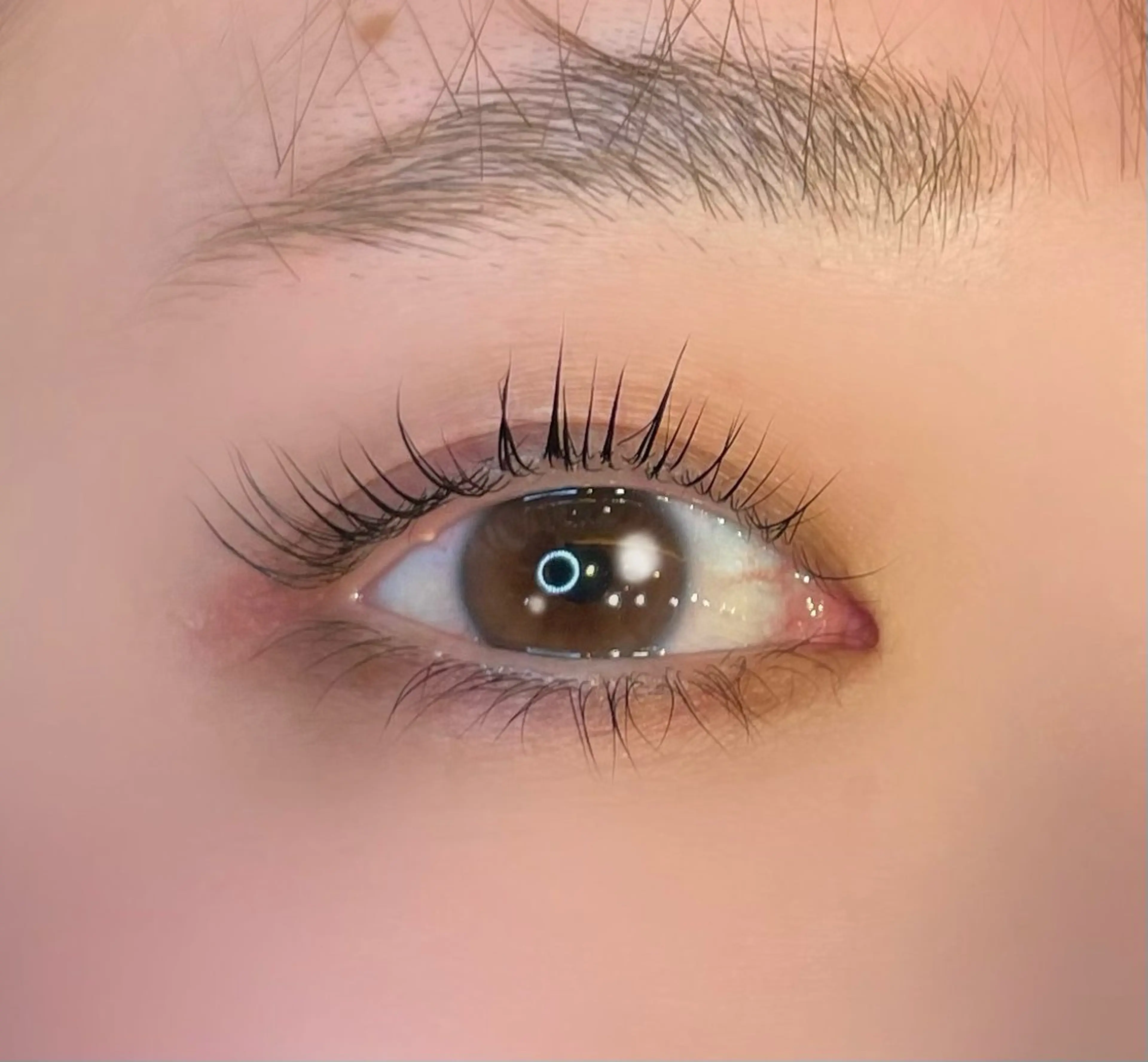 マツエク・マツパ まつパ/マツエク🤎 艶カラー/ゆり♡⃛のヘアスタイル