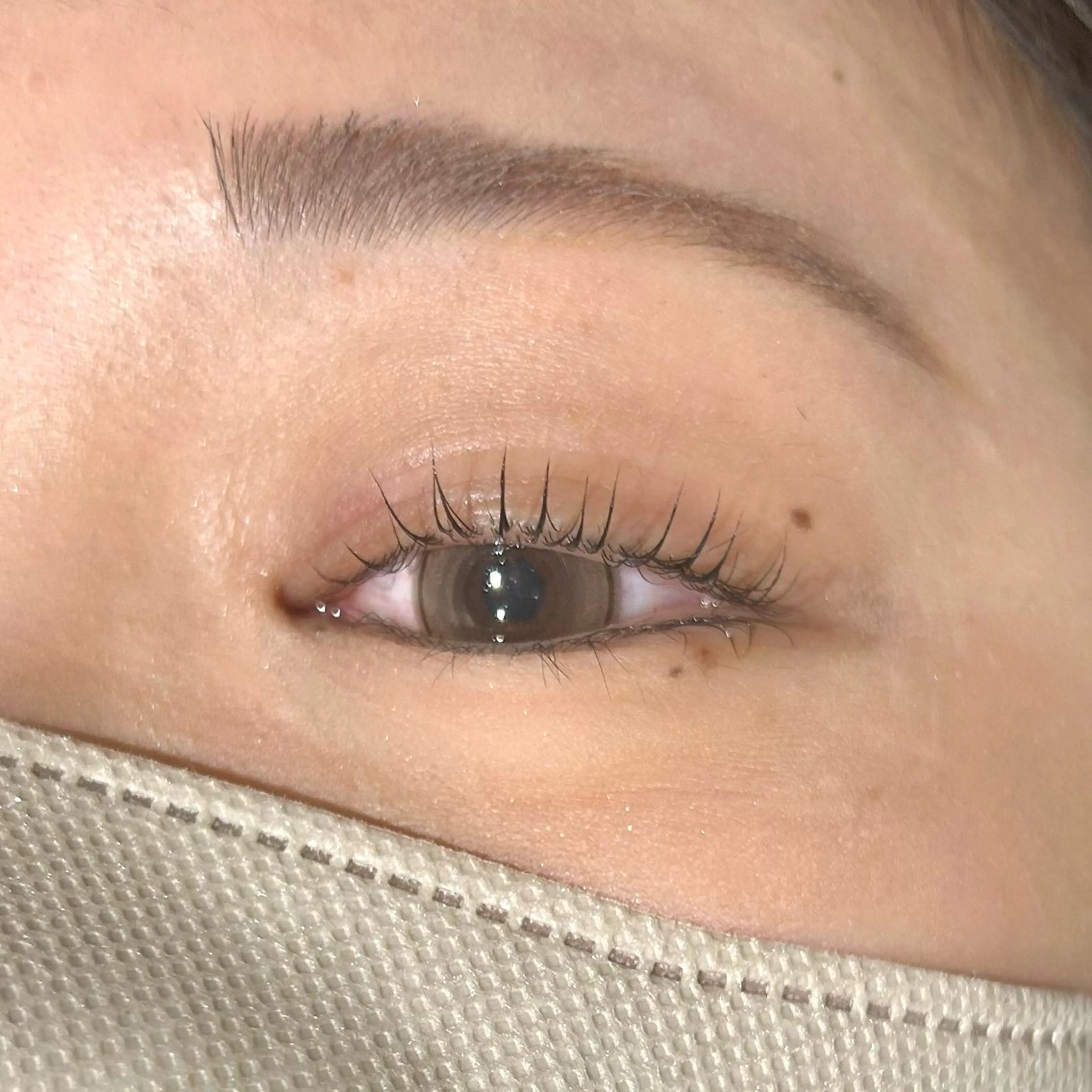 マツエク・マツパ 🌱Ai Quick 新宿/シノネ🪞🫧の眉毛・アイブロウイメージ