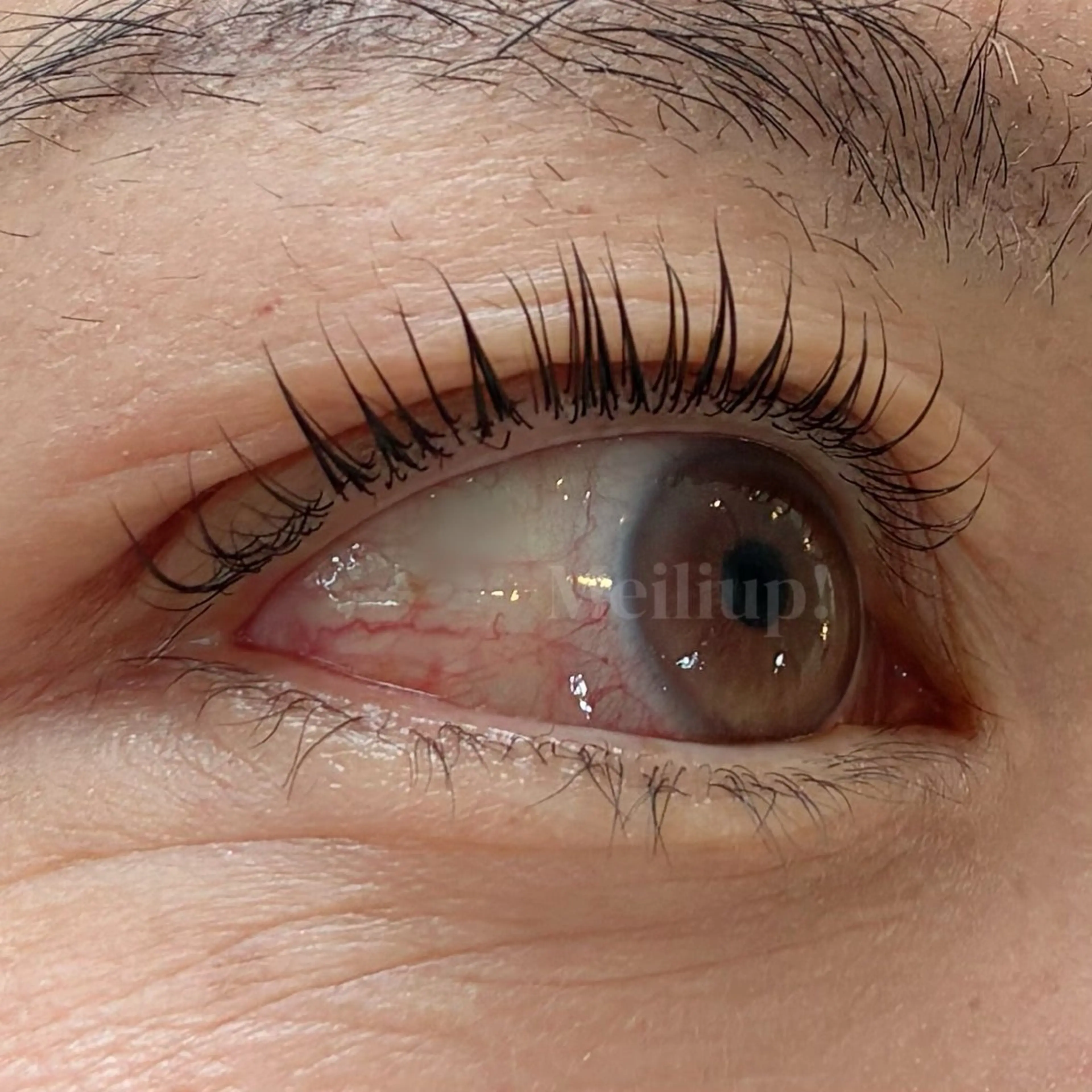 【上まつげパーマ/アイシャンプー・トリートメント込】の写真