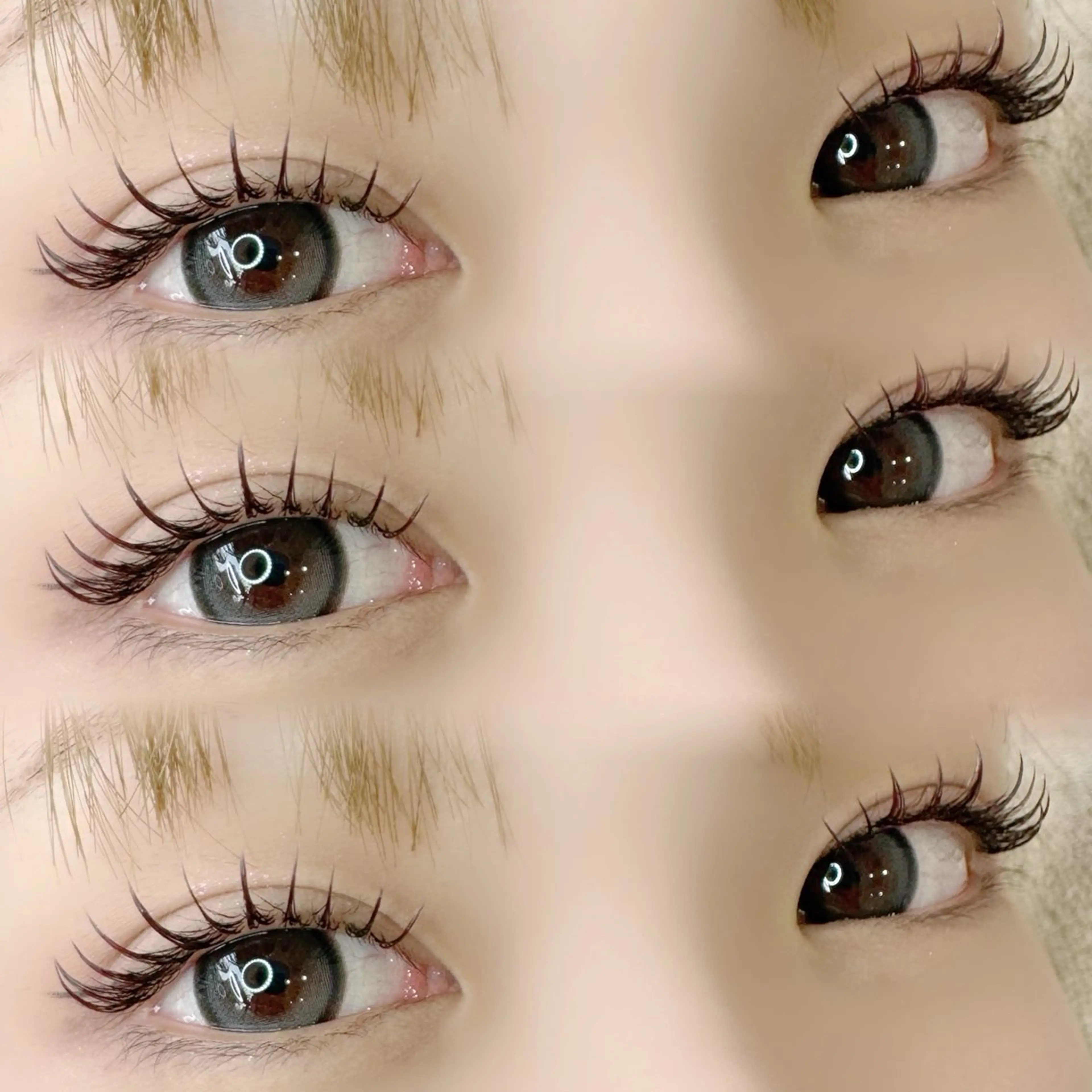 アップワードラッシュ100本【オフ込】🕊下がりまつ毛の方に💫の写真