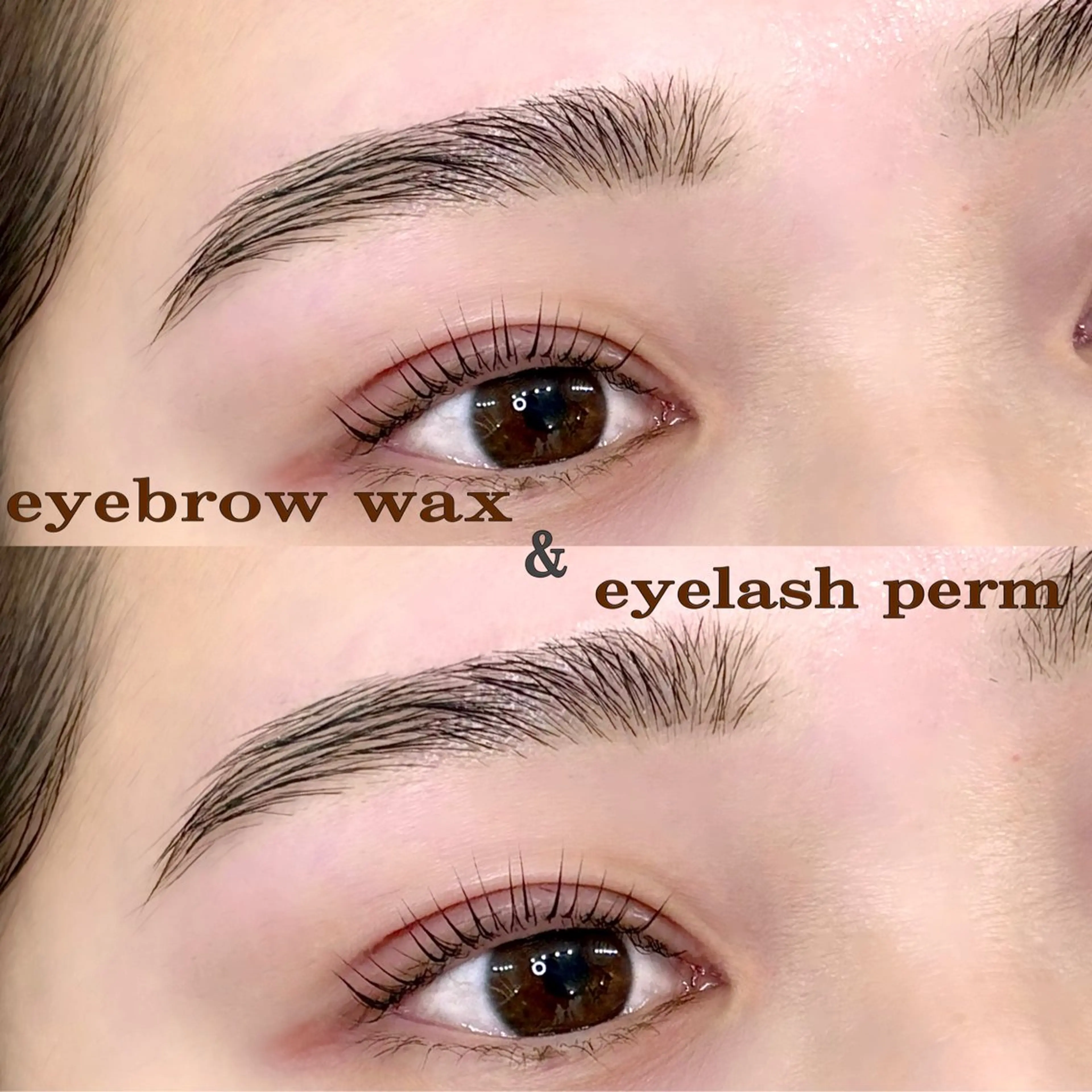 アイブロウ 。 。の眉毛・アイブロウイメージ