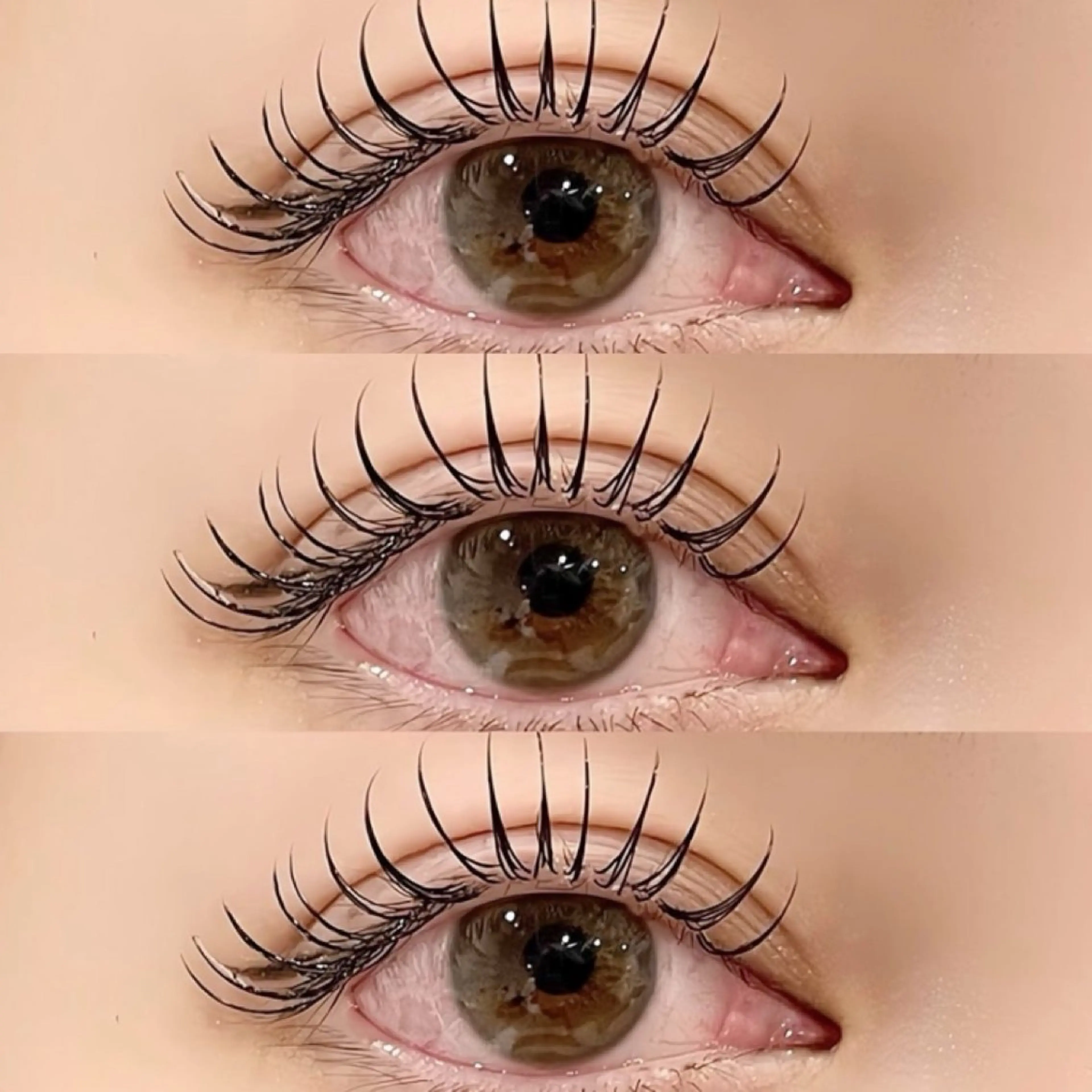 フラットマットラッシュ🌷(120本)の写真