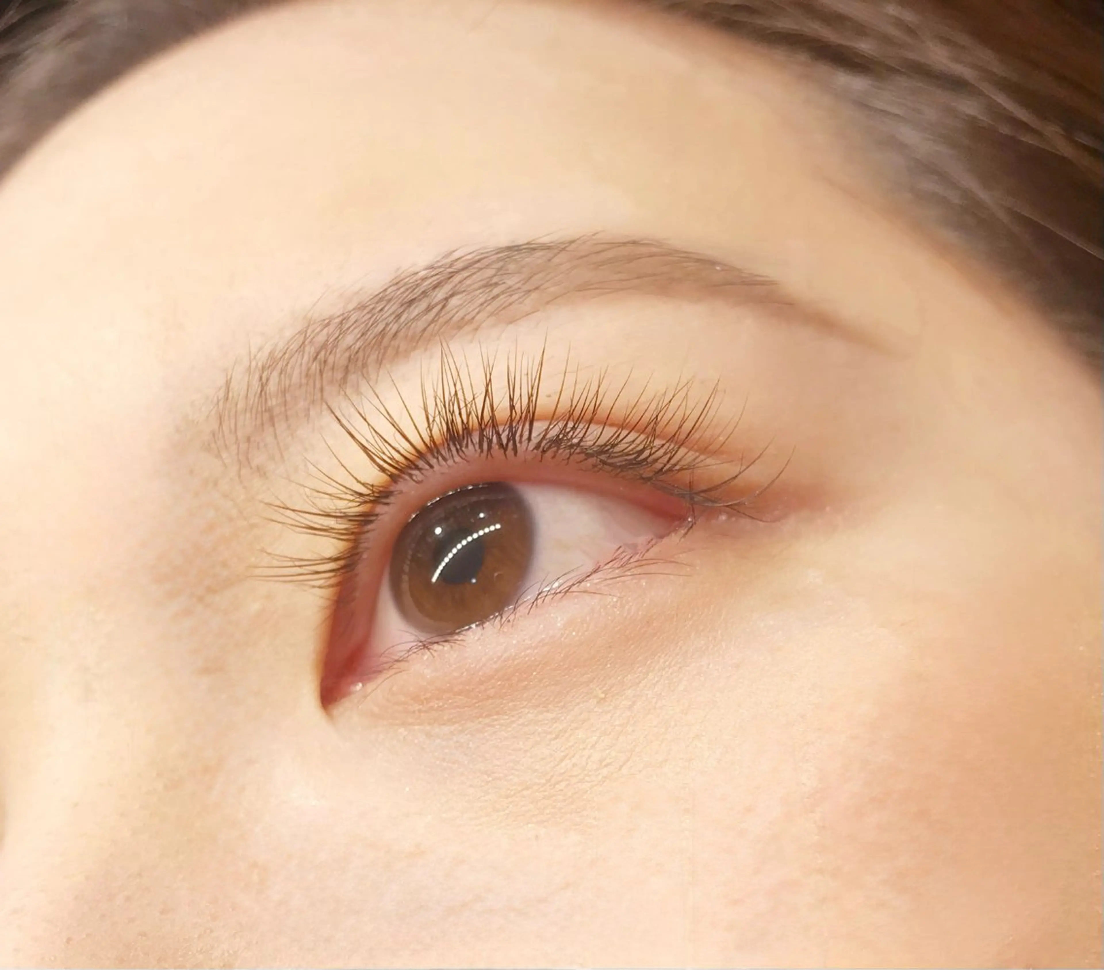 マツエク・マツパ フラットラッシュ Mond/モンド公式 垢抜け眉毛への眉毛・アイブロウイメージ