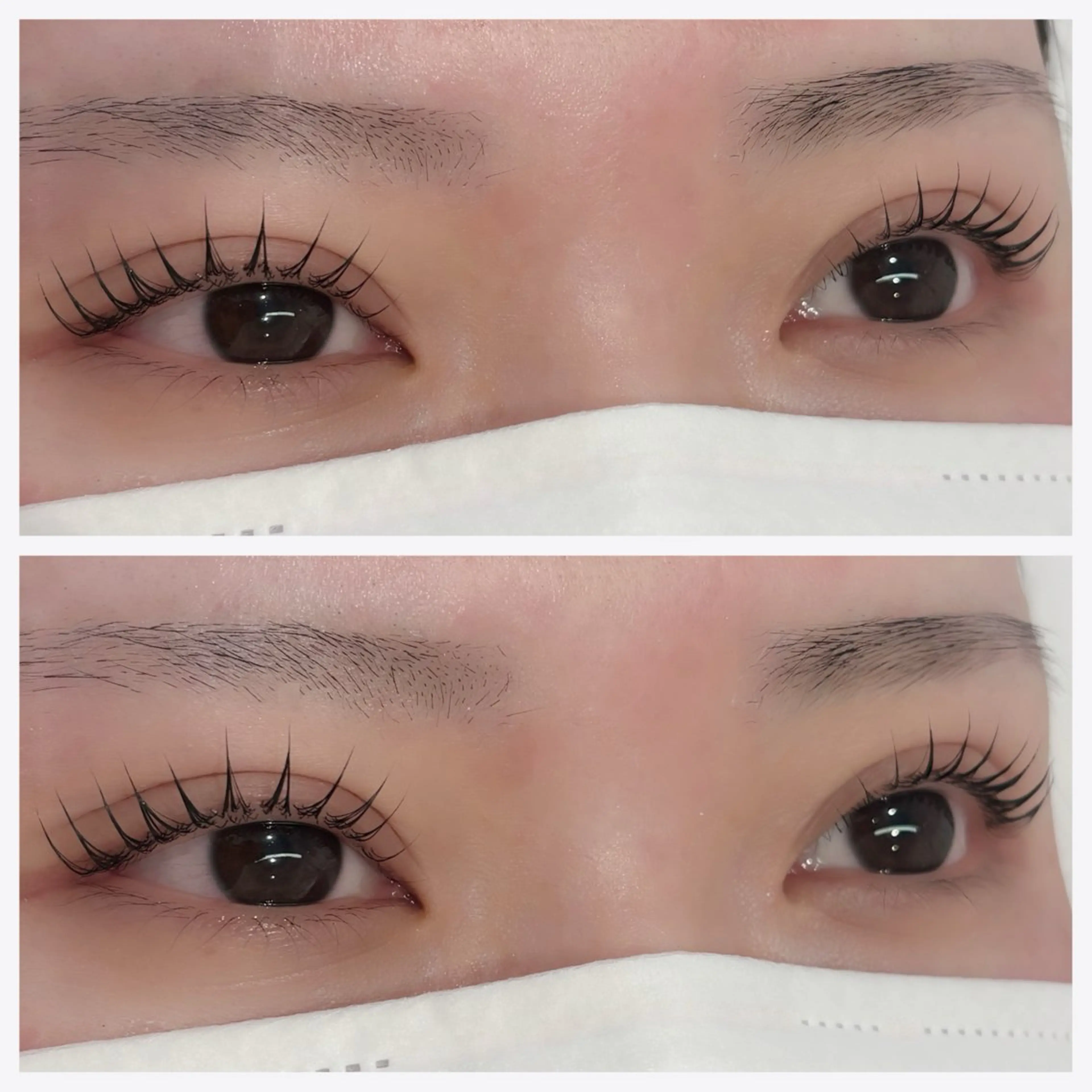 ⭐️美眉アイブロウwax間引き＋パリジェンヌラッシュリフト⭐️の写真