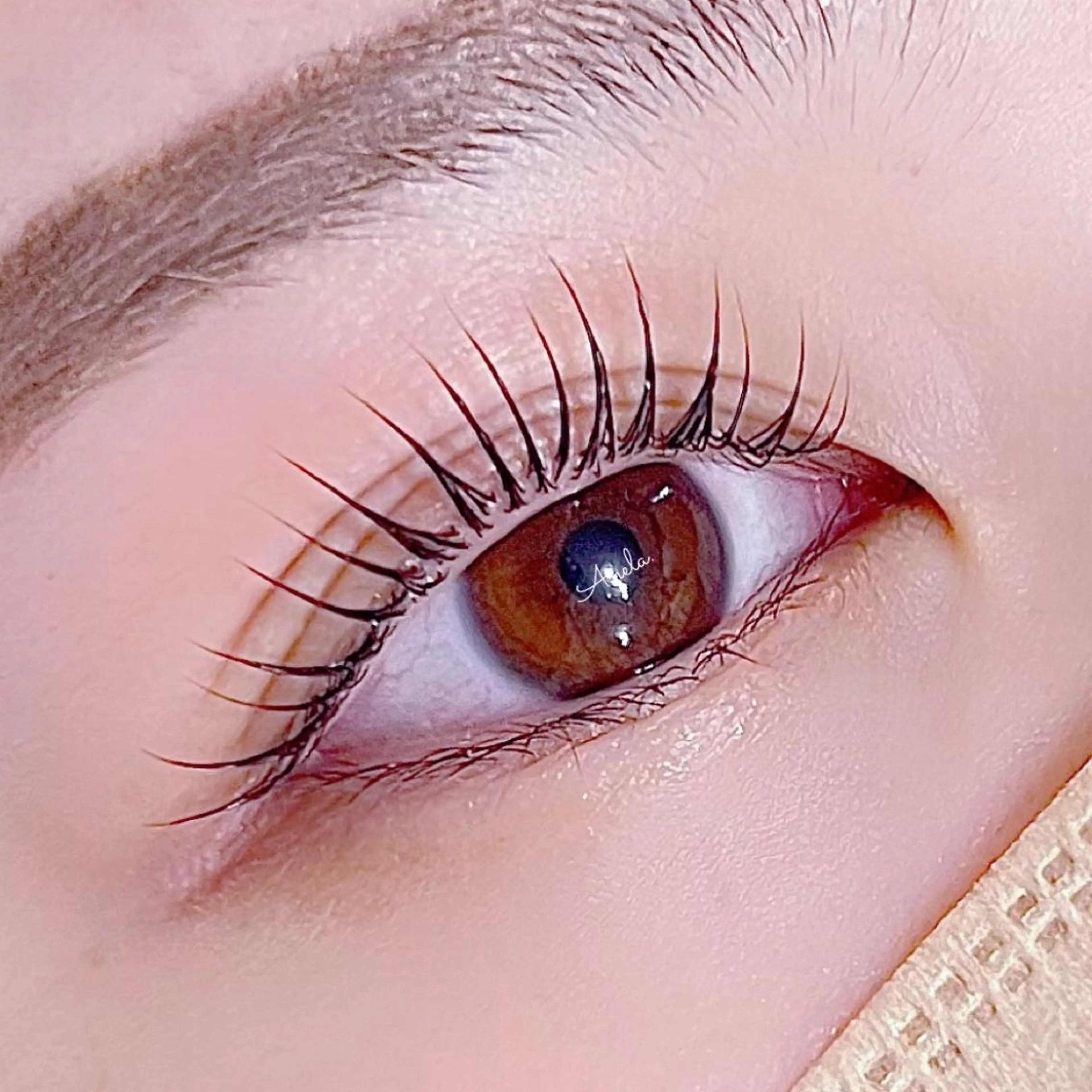 🩷リピーター様限定🩷当店1番人気✨ラッシュリフト👀¥6100の写真