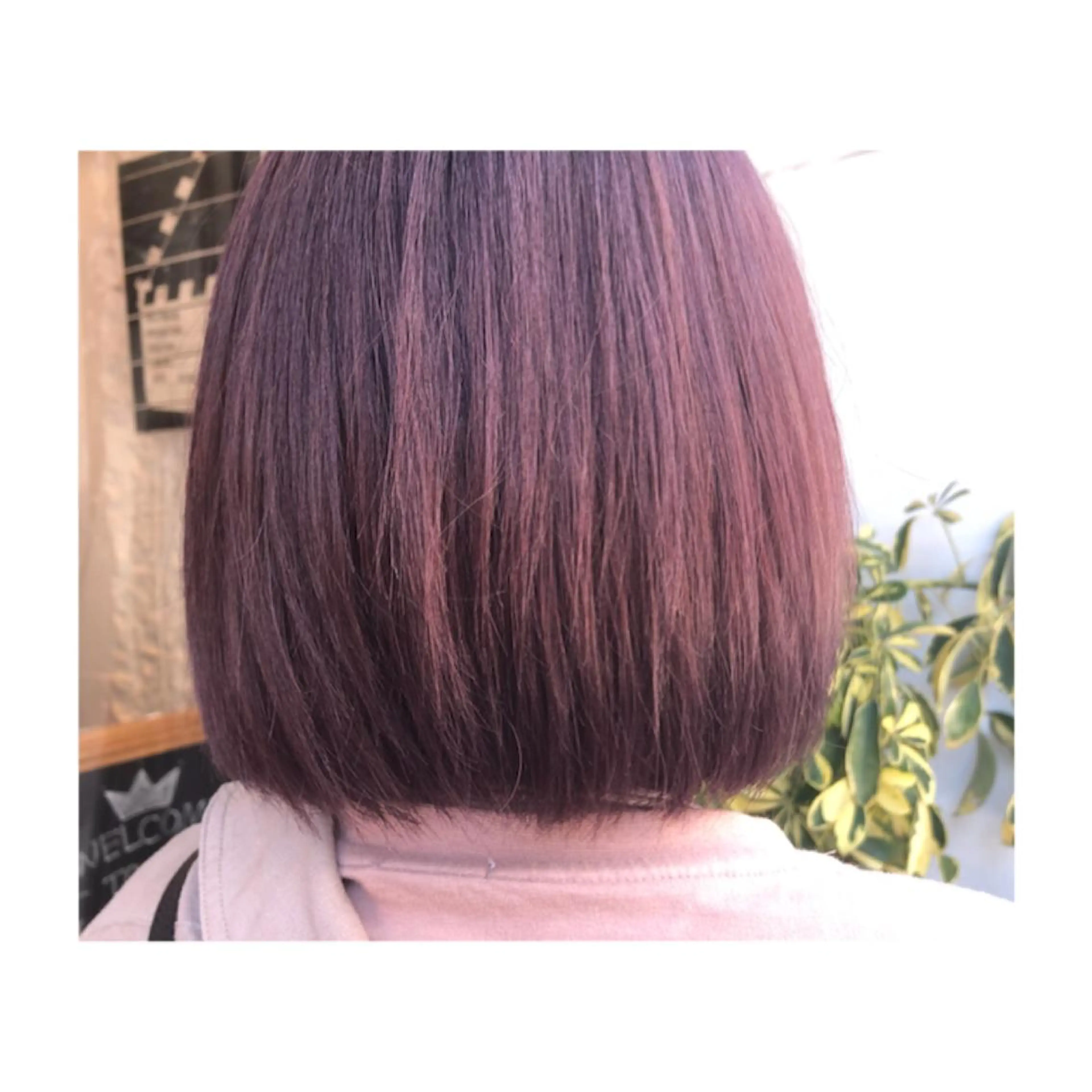 ショート カラー アッシュ バイオレットカラー バイオレットアッシュ まちだ ひとみのヘアスタイル