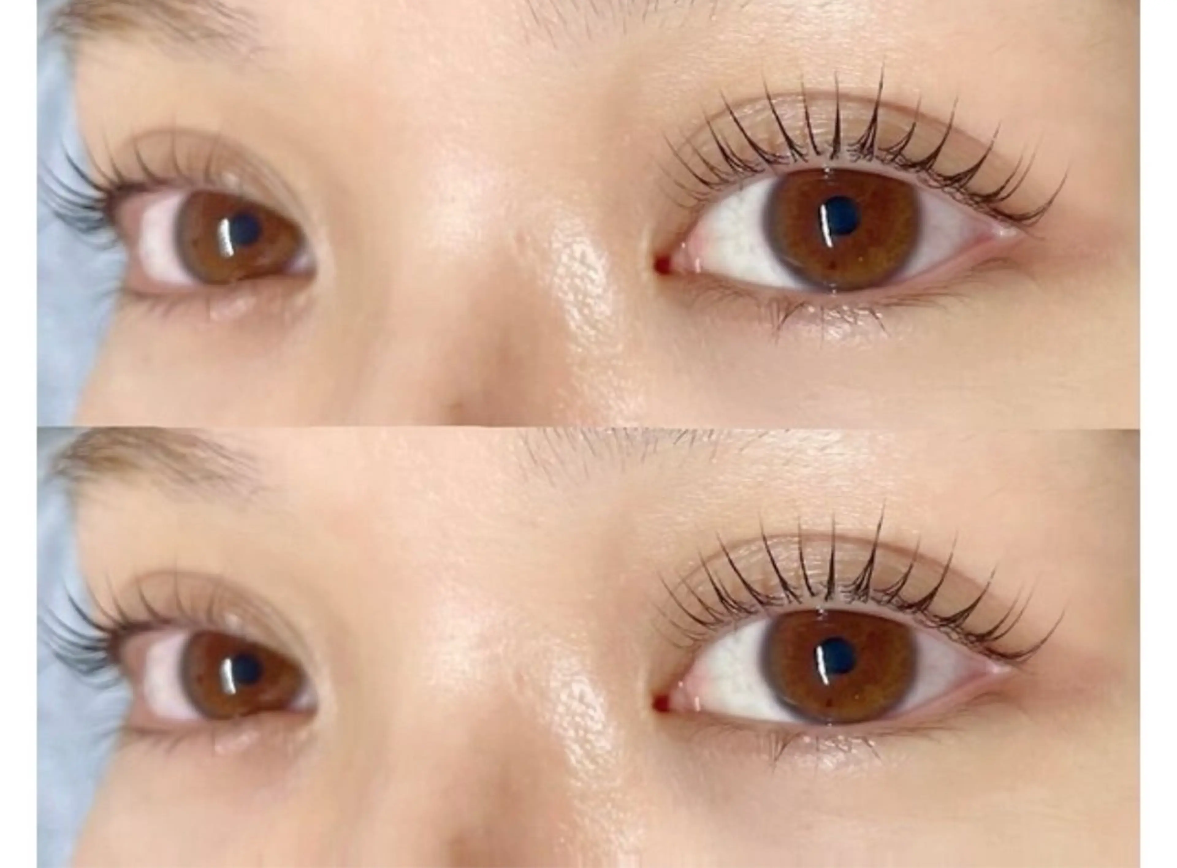 韓国式ブラックティント＋まつ毛パーマの写真