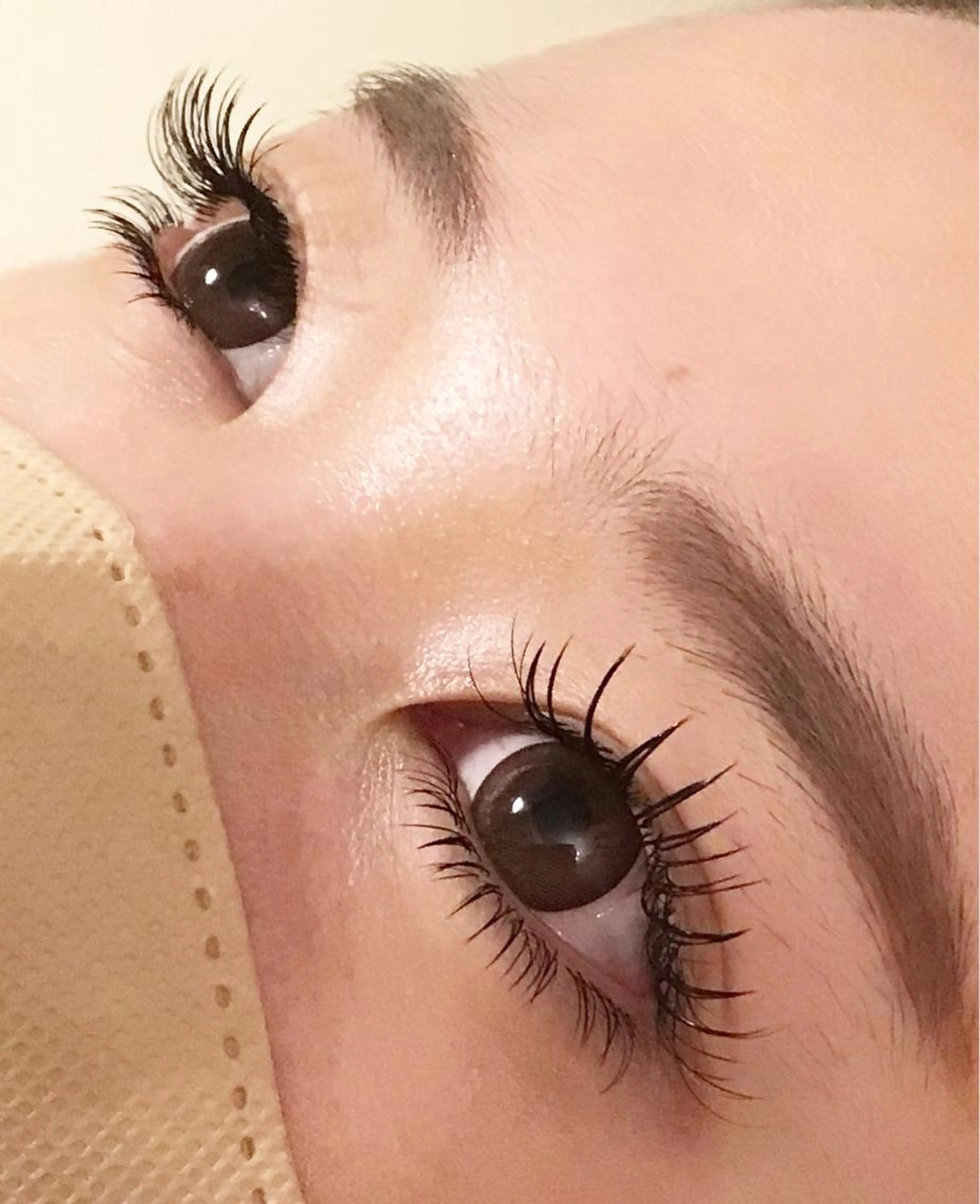 オフ込　最高級セーブル上下付け放題の写真