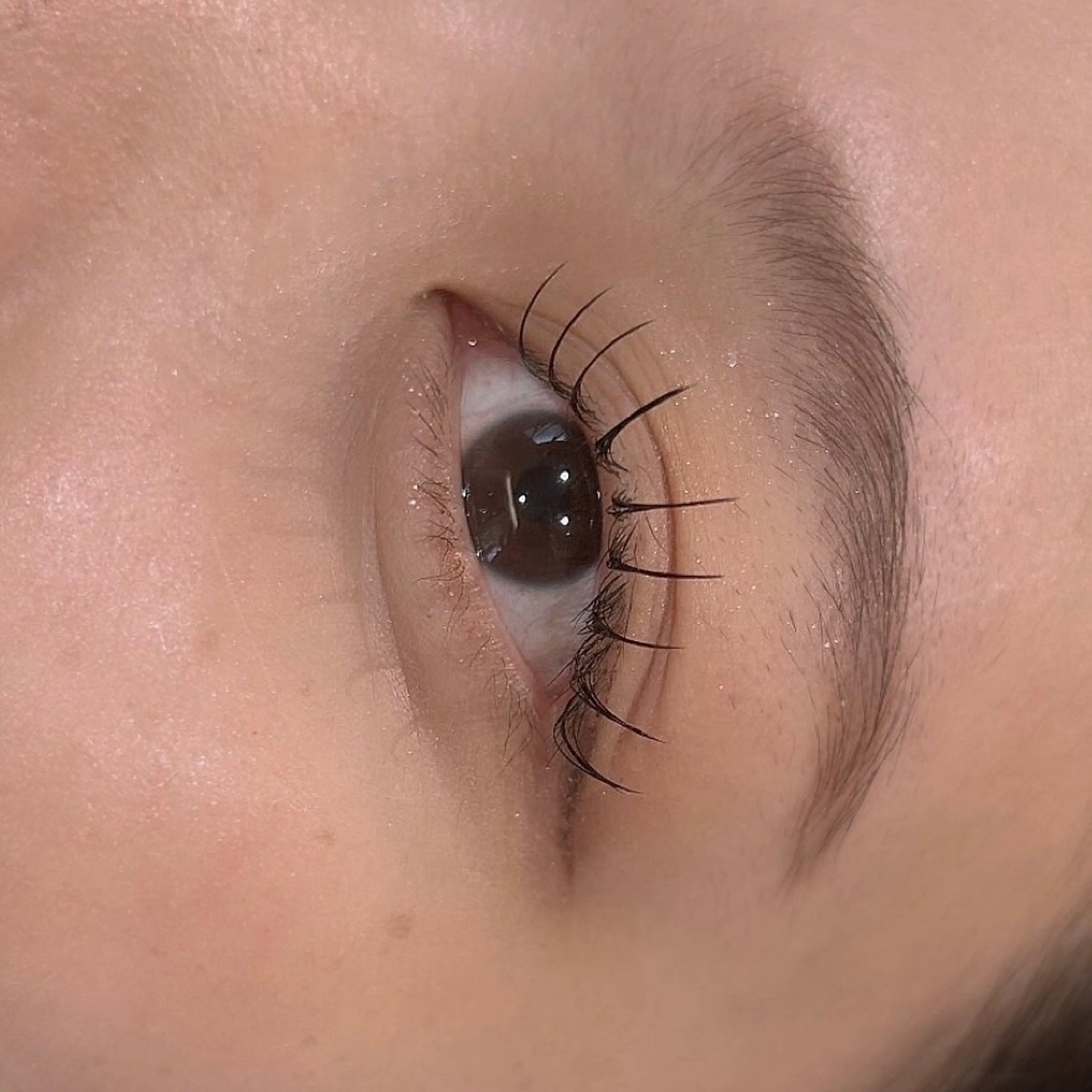 マツエク・マツパ マツエク hair&eye🎀 /momoKaのマツエク・マツパデザイン